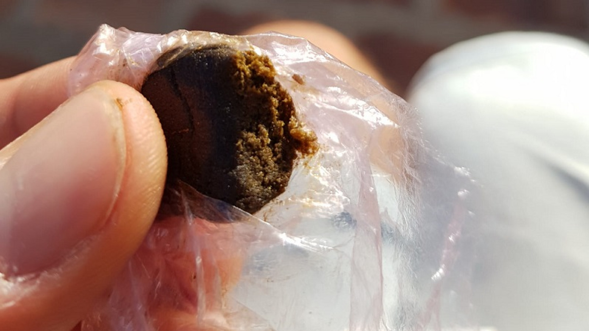 Mangia hashish durante una passeggiata col padrone: cane salvato dal veterinario