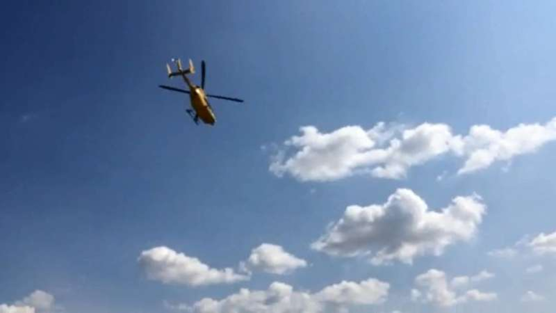 Cade dalla pianta mentre raccoglie i frutti, grave 60enne a Lugagnano