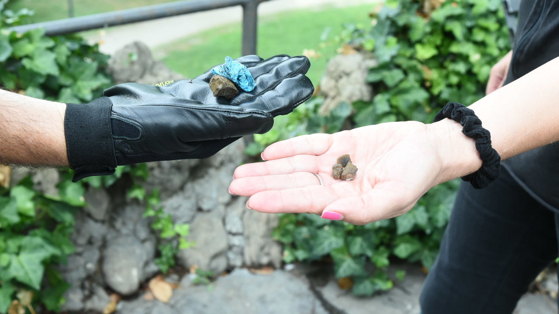 Controlli a raffica della Municipale in centro e nelle frazioni: droga, sequestri nei negozi etnici e multe