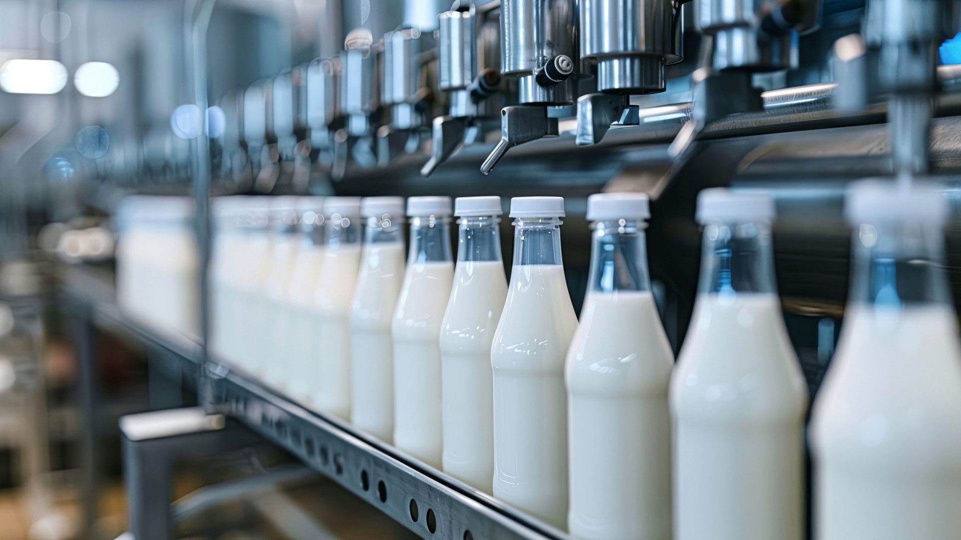 Settore lattiero caseario in crescita, si prepara al Dairy Expo Tech a Piacenza Expo
