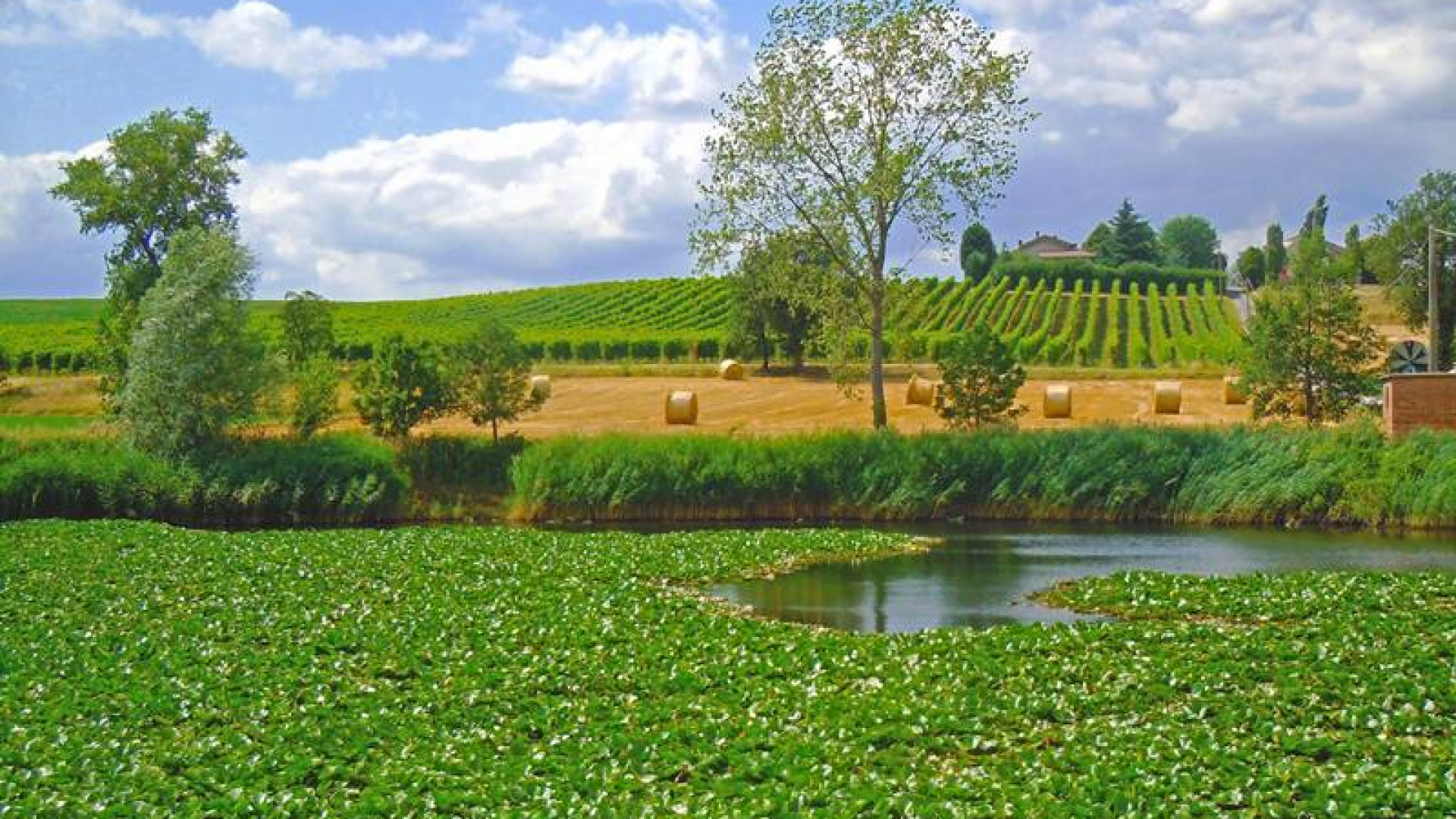 "Adotta la Terra", gli otto sindaci sottoscrivono la convenzione