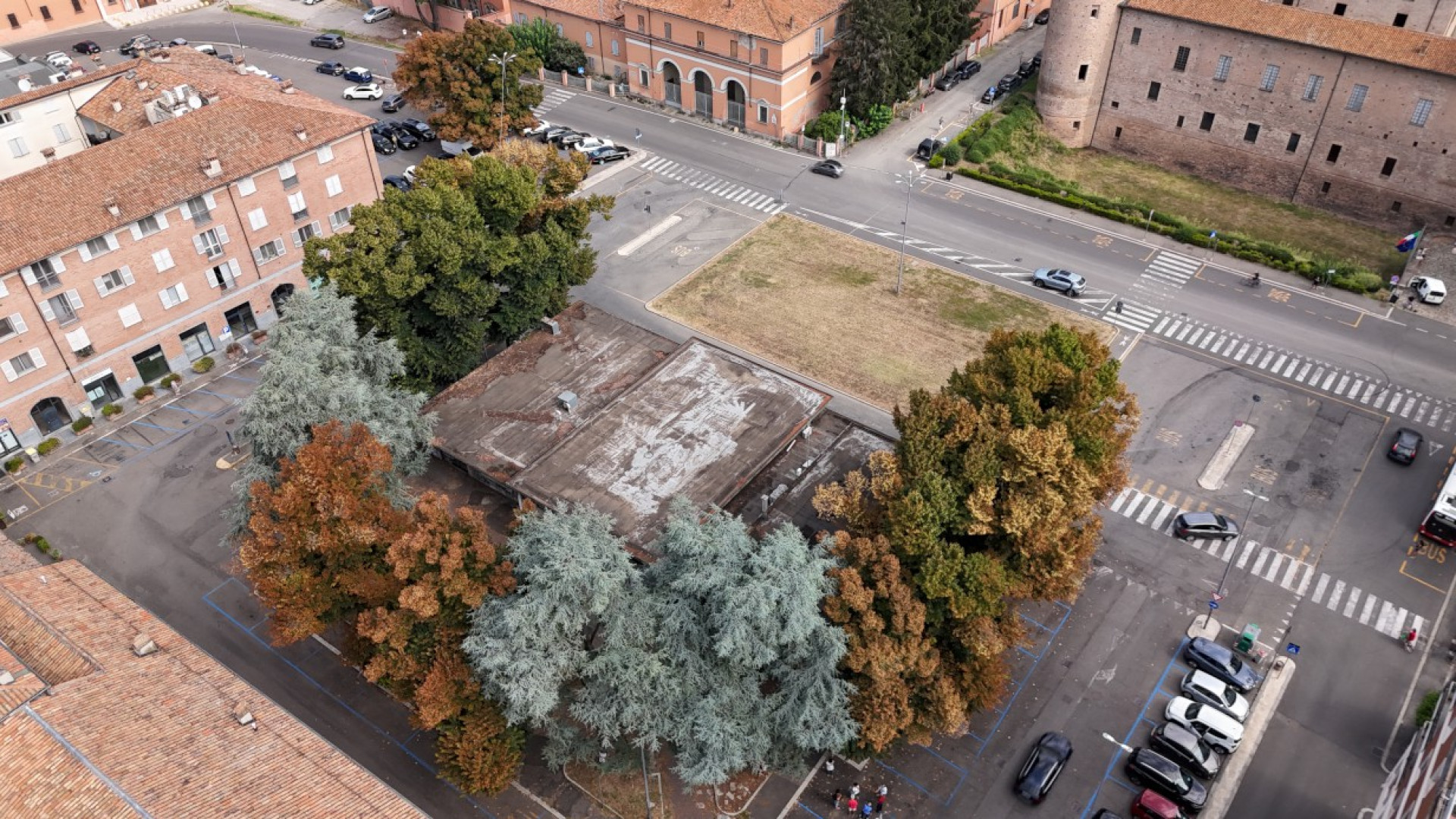 Cittadella, superano quota 16mila le firme per salvare gli alberi: domani l'udienza