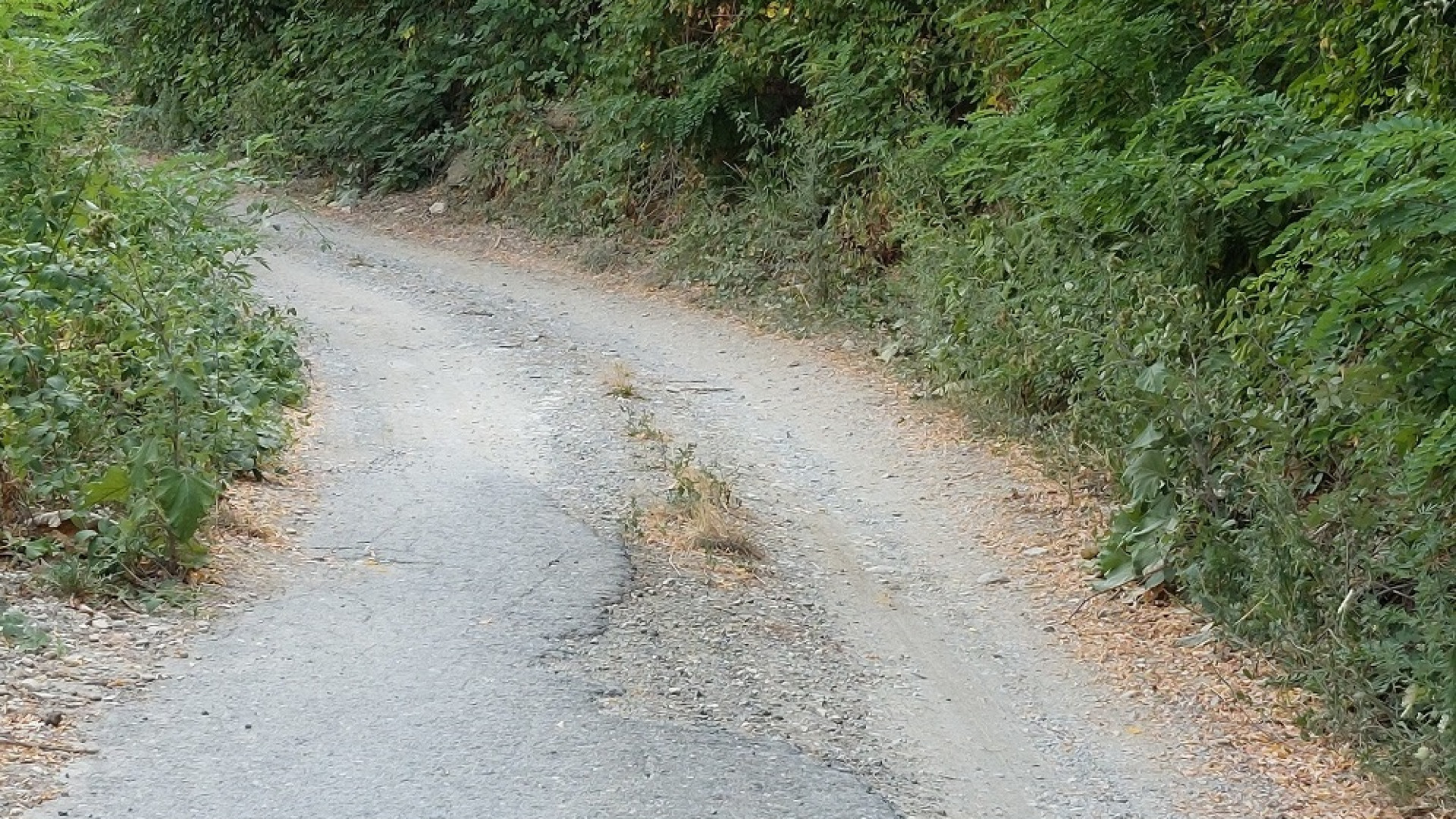 Piozzano, in arrivo un milione di euro: serviranno a mettere in sicurezza il paese