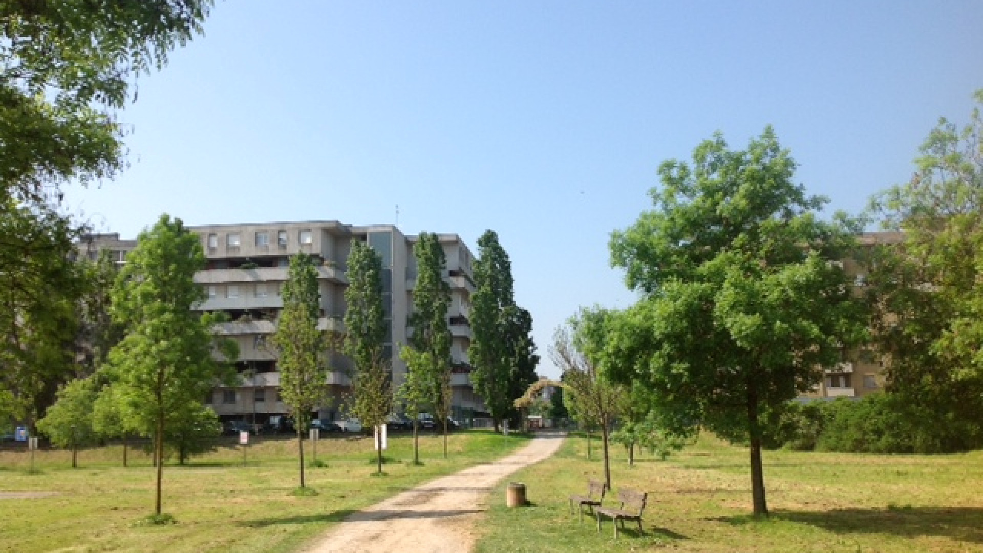 Bancari e volontari: i dipendenti Crédit Agricole puliscono il Montecucco