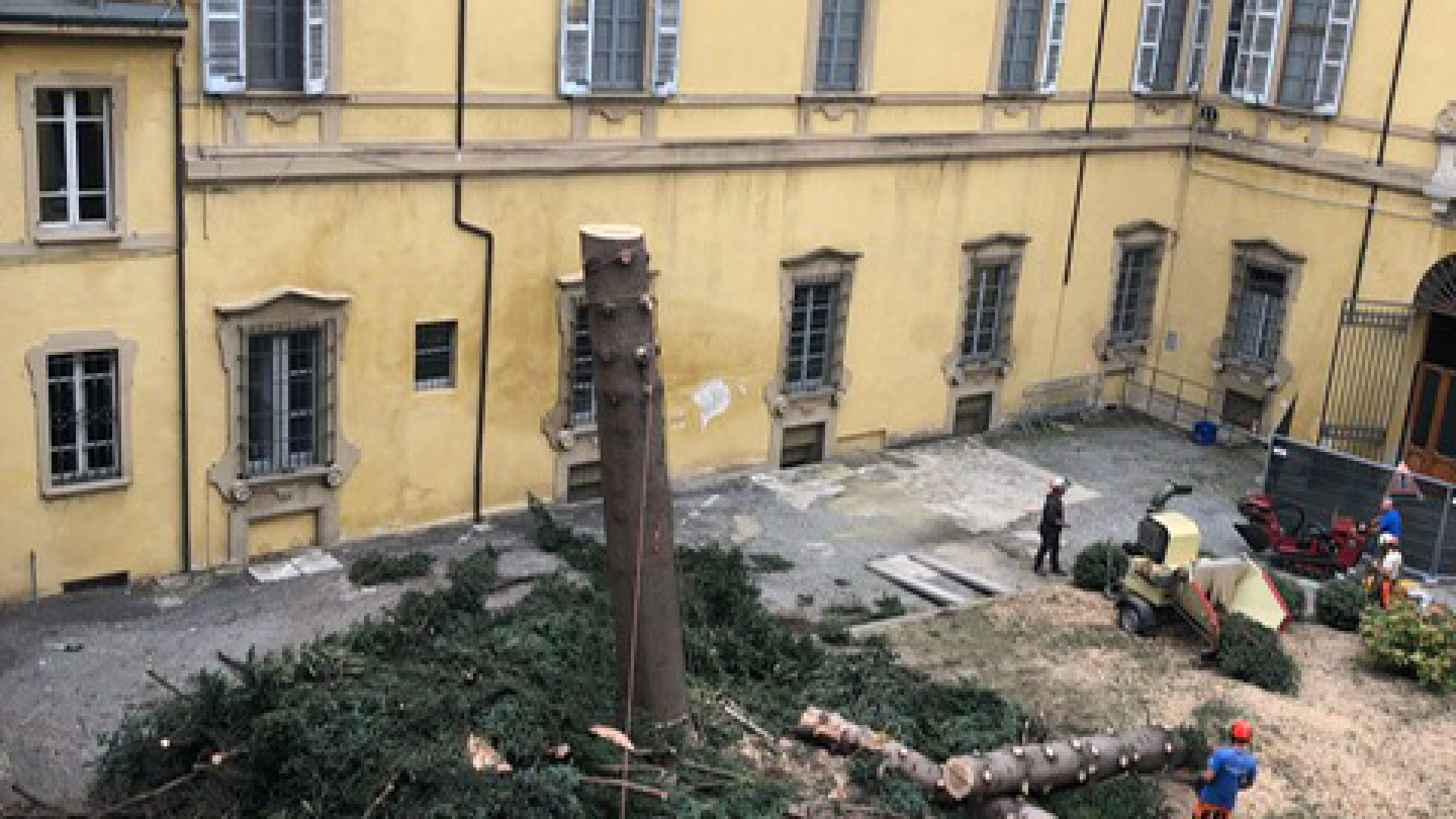 Tagliato l'abete di 23 metri nel cortile della prefettura, protesta Legambiente
