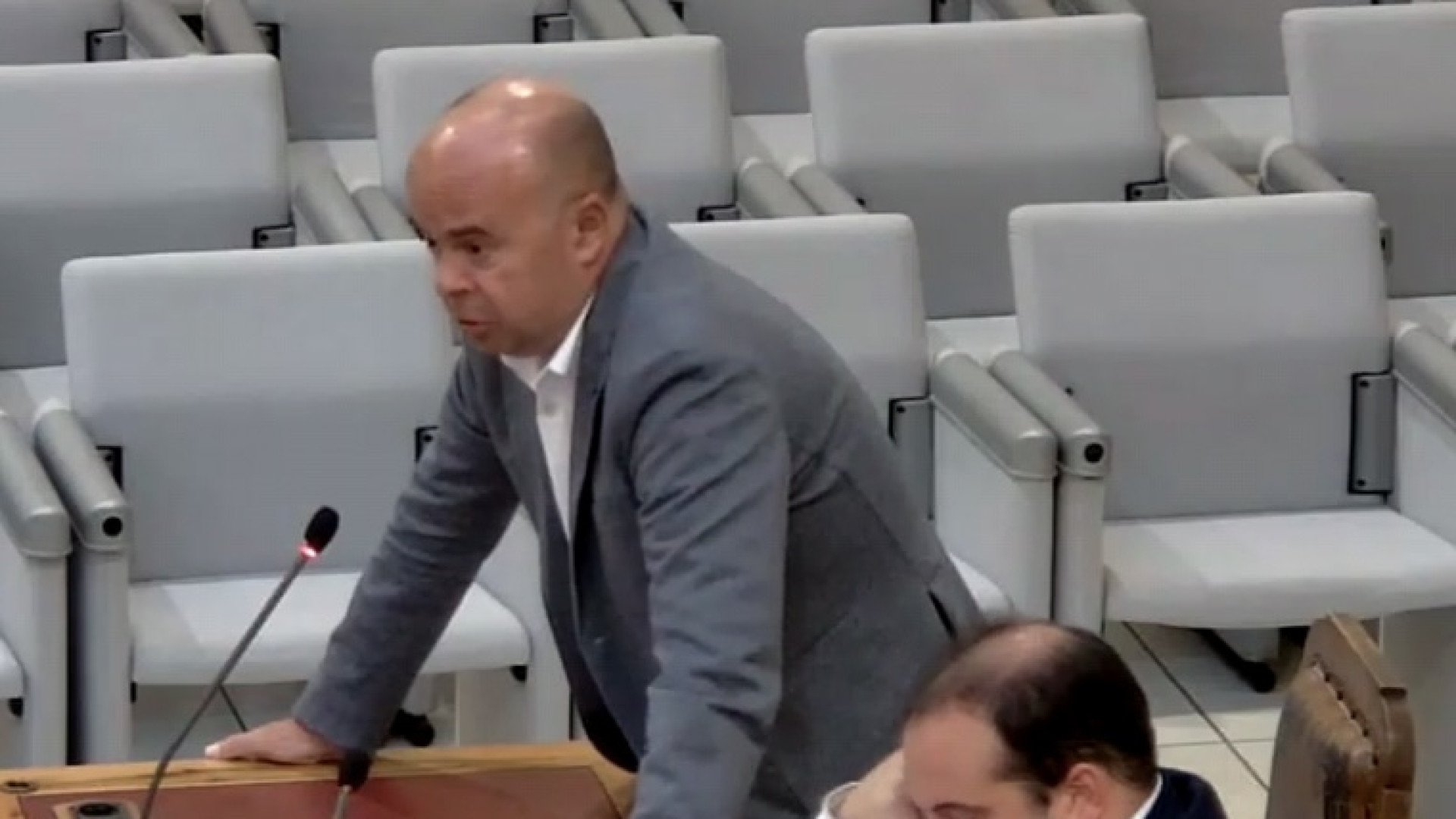 Peste suina, due cinghiali positivi a Gavi. Maloberti: "Punto di non ritorno"