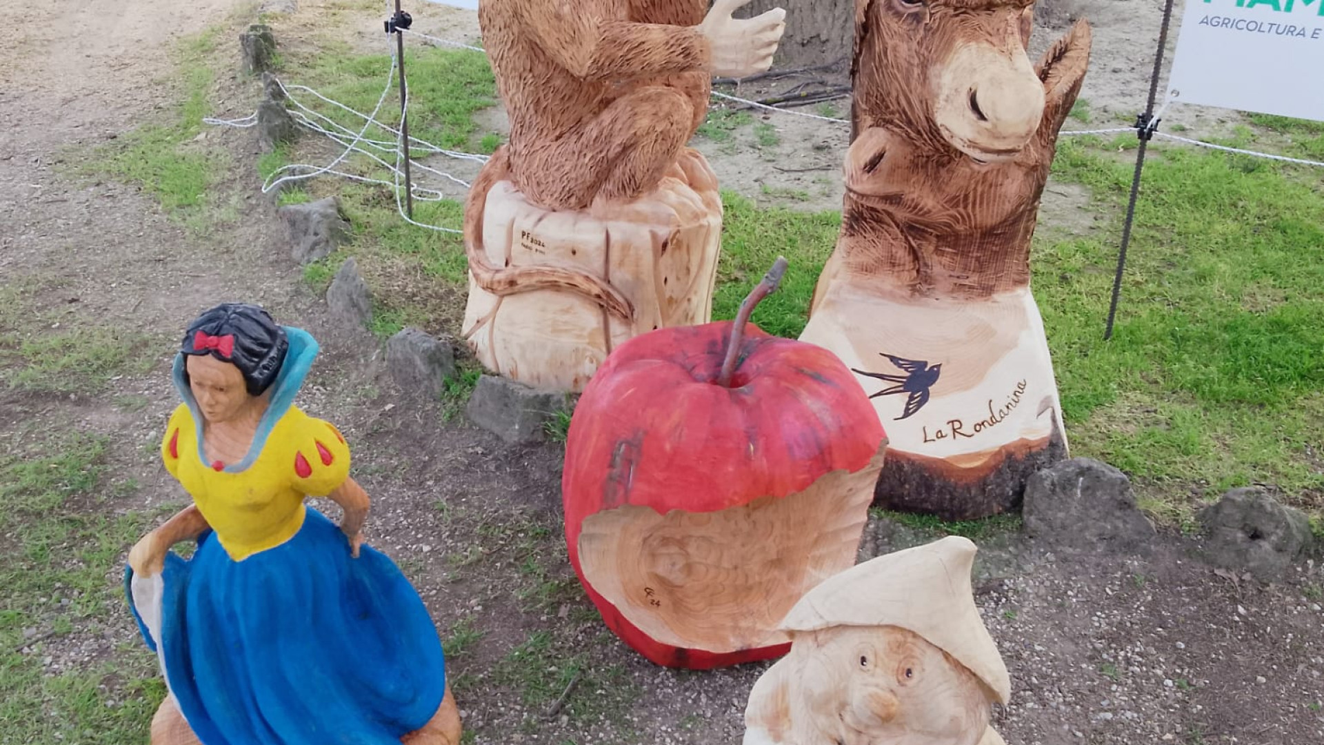 Sculture in legno con la motosega: a Castell'Art artisti da quattro regioni