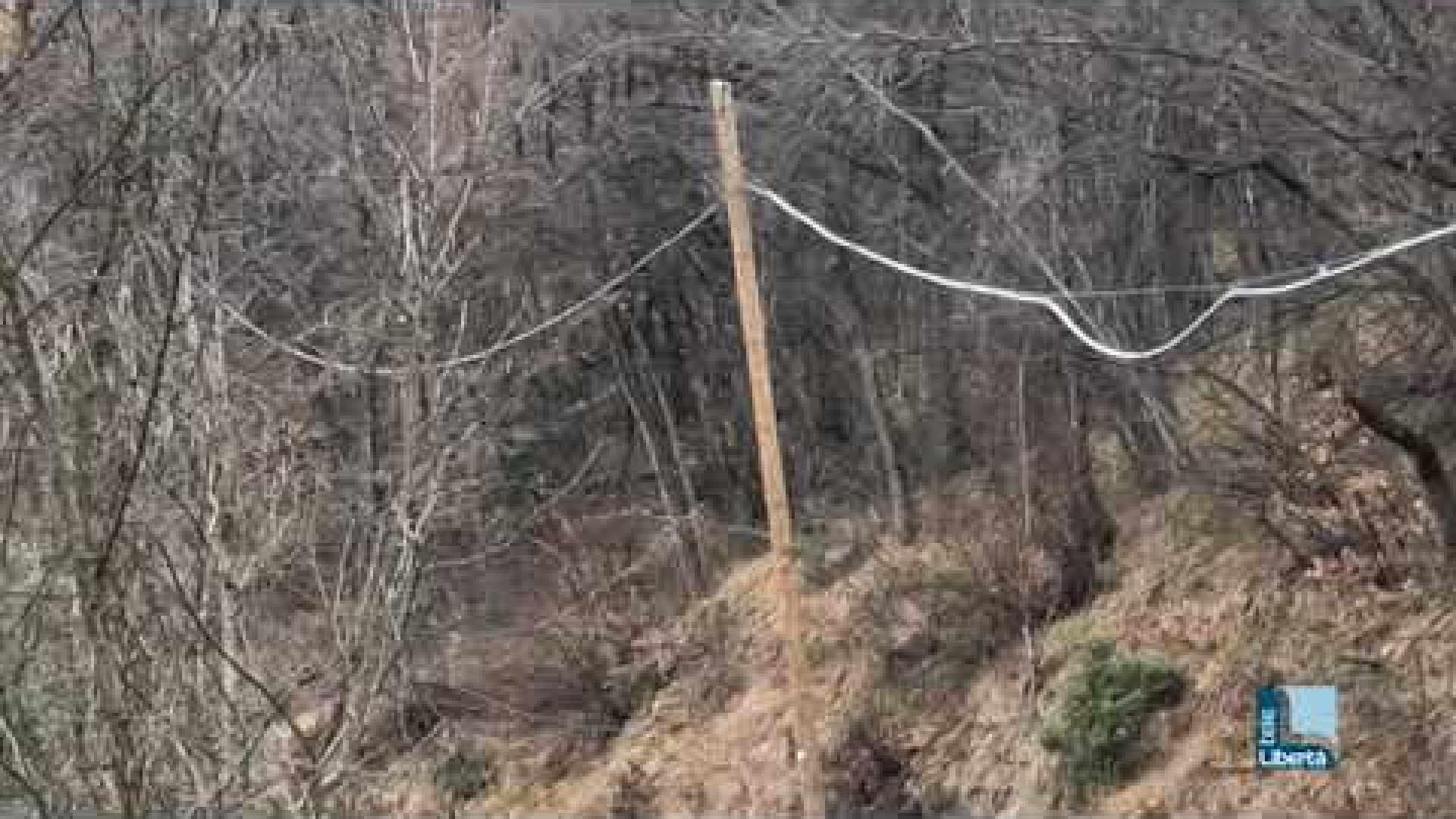Branco di lupi in val Perino. "Erano sette, con il pelo folto e per nulla intimoriti"
