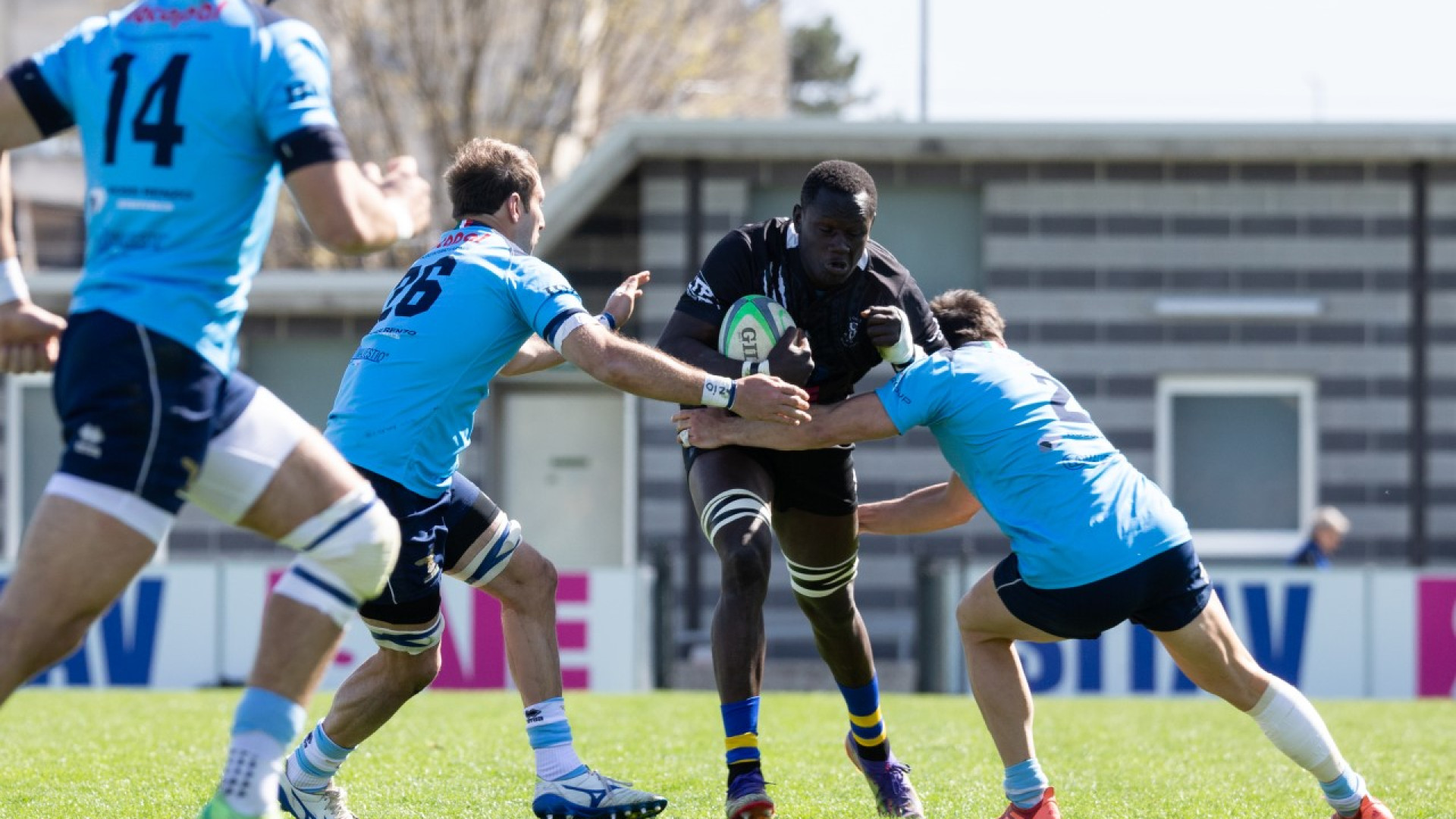 Rugby Top 10, i Lyons tornano al Beltrametti per sfidare la capolista Viadana