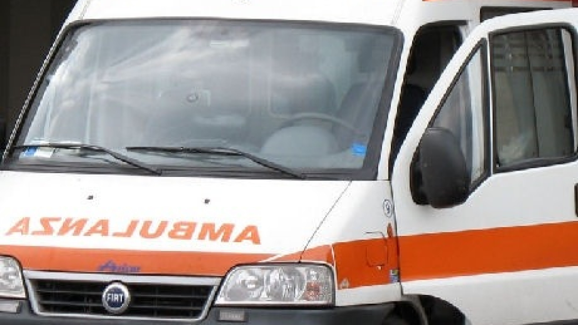 Muradolo: 60enne cade da una pianta di cinque metri, trasportato a Fiorenzuola