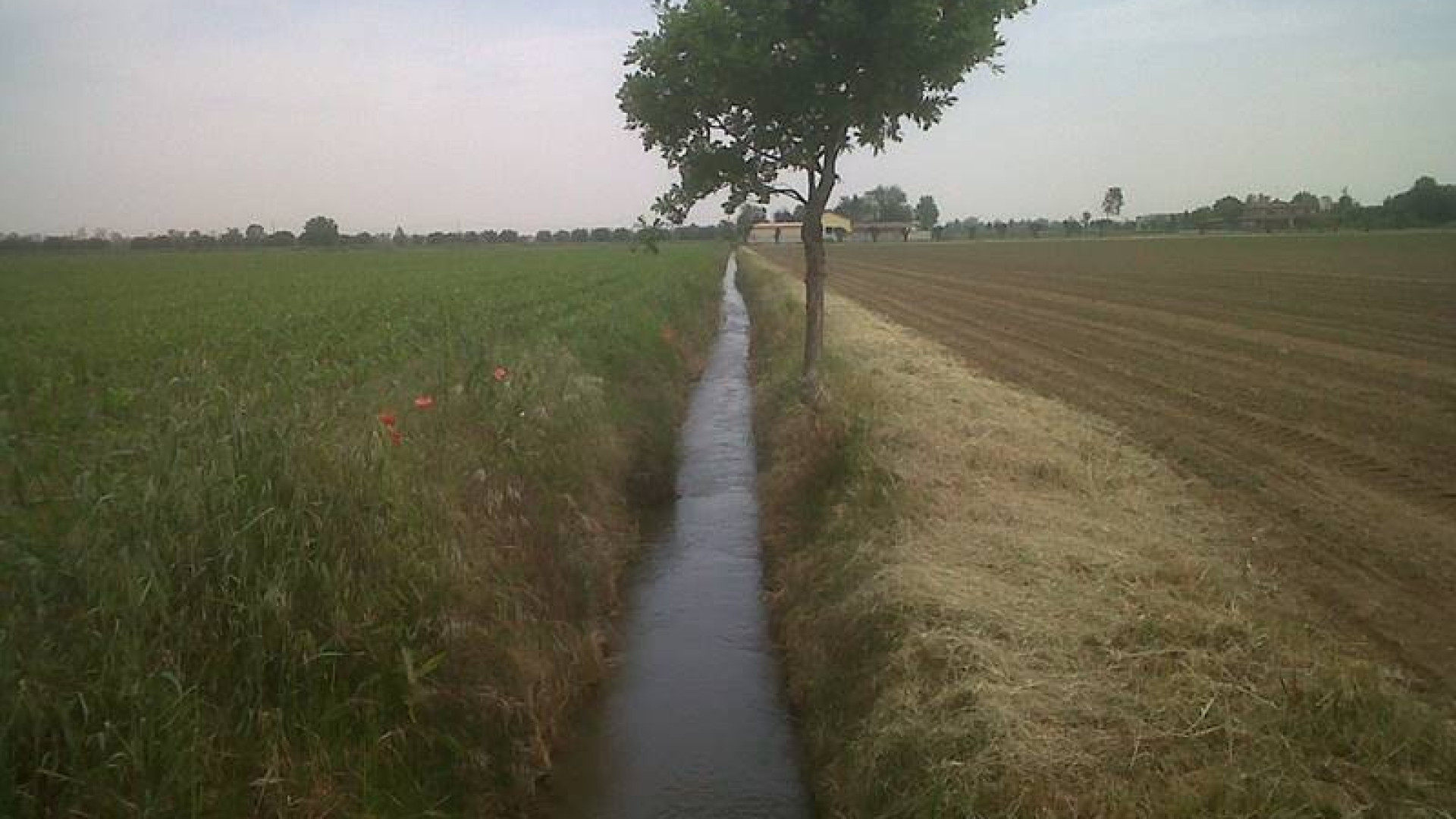 "Irrigazione in Val Trebbia: fra alluvioni e siccità" se ne parla martedì a Rivergaro