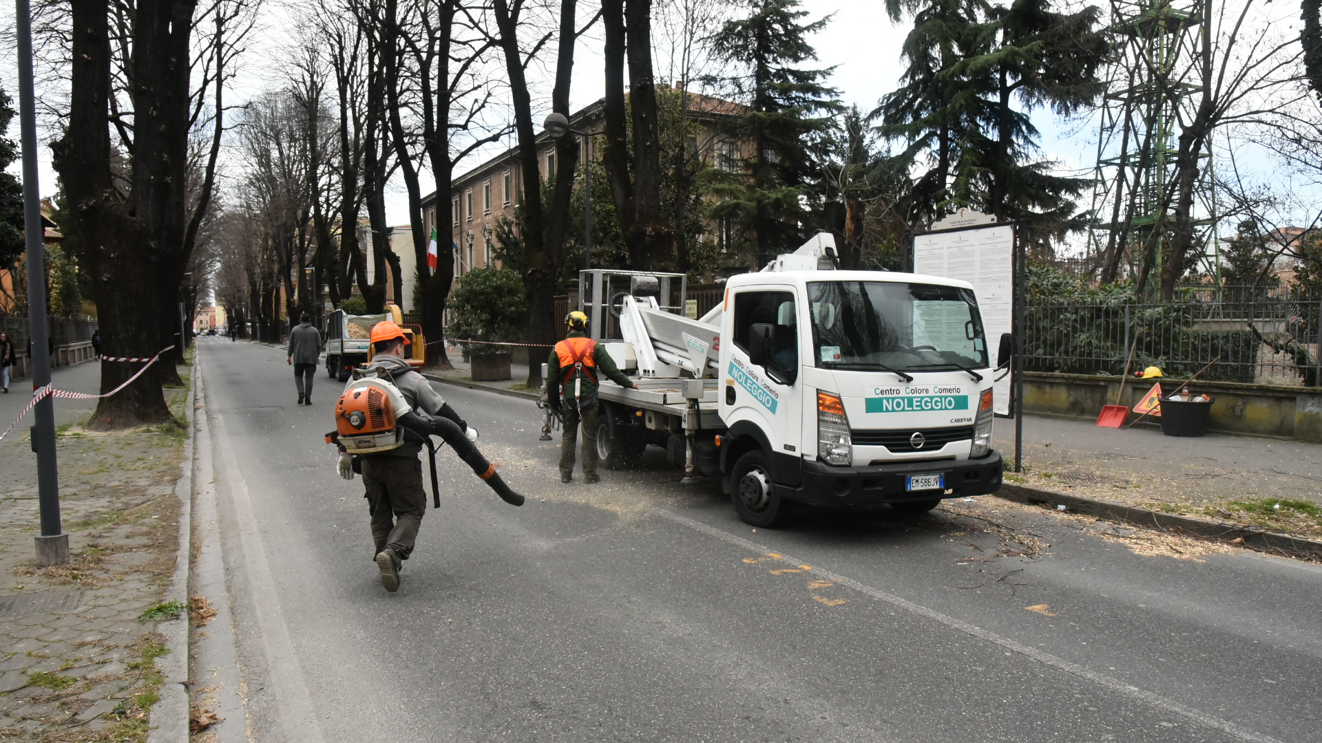 Viale Beverora, iniziato il taglio degli alberi malati. Strada chiusa