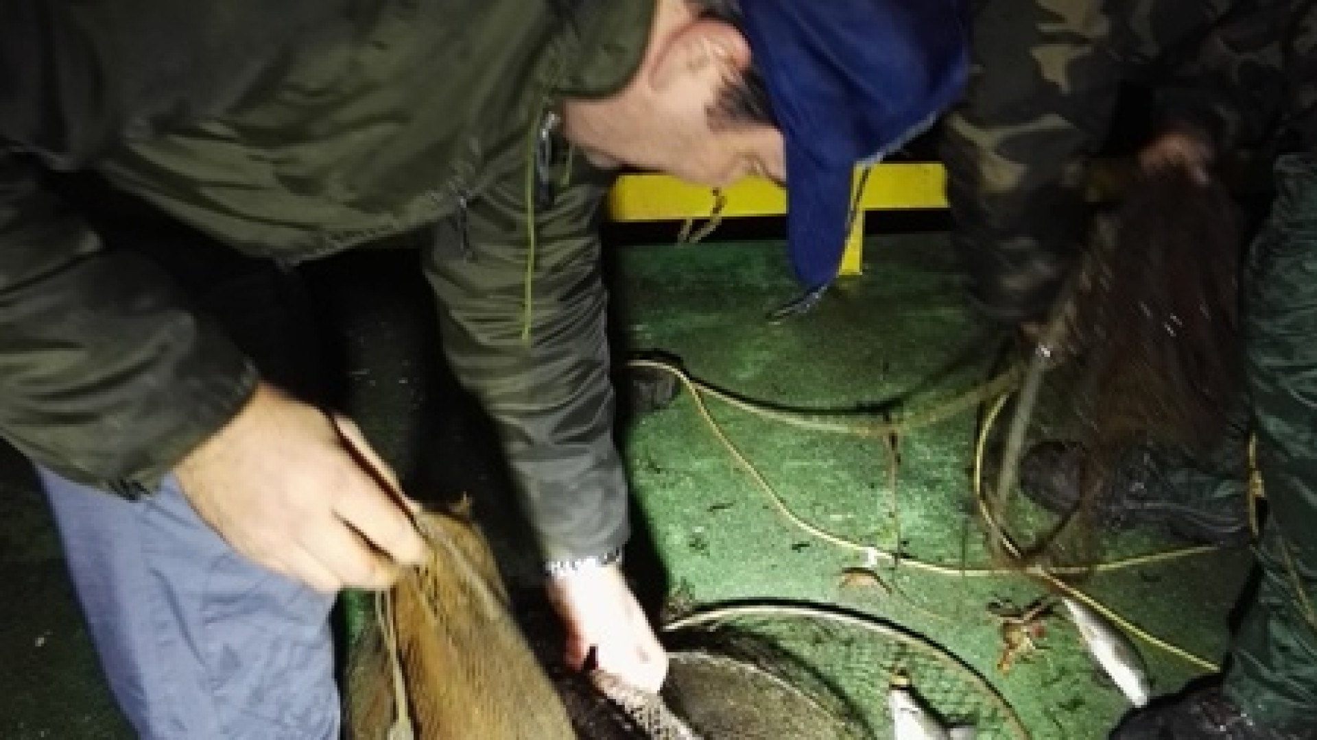 Pesca di frodo e rifiuti: in un anno oltre 400 servizi di vigilanza del Carp Fishing
