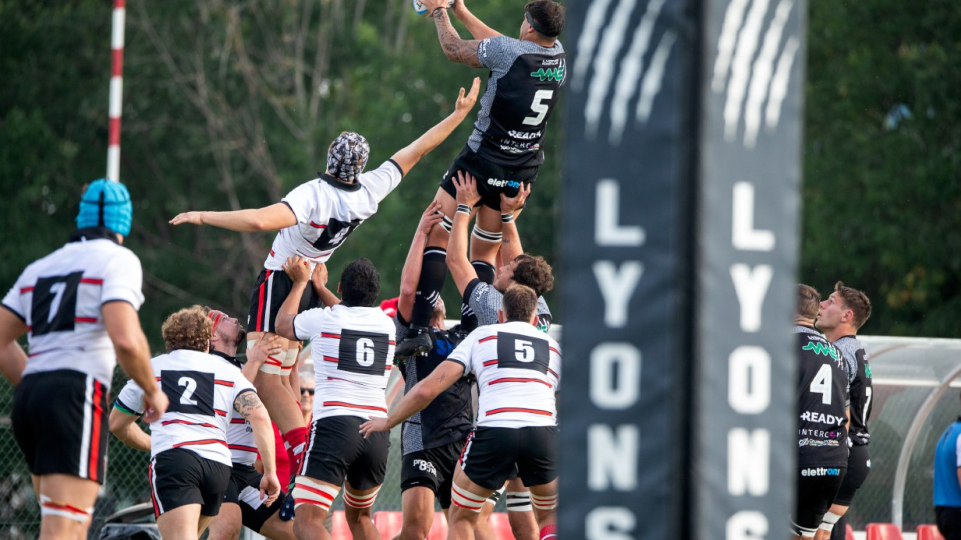 Arrivano i campioni d'Italia del Rovigo. Ai Lyons serve la spinta del Beltrametti