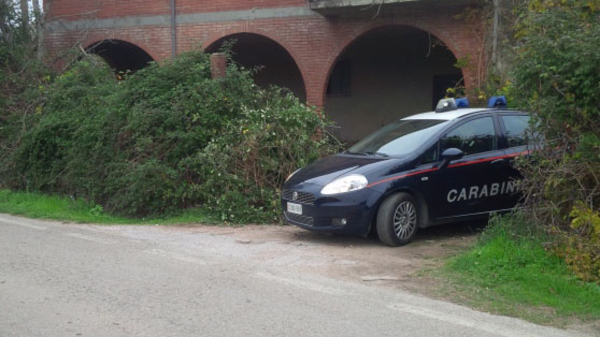 Omicidio Pierini, rito abbreviato per il nipote. Nuova udienza per la figlia