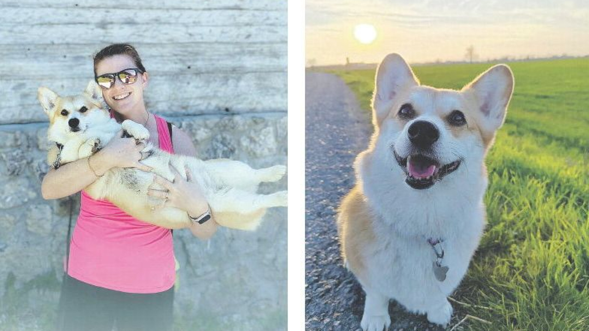 Altro cane azzannato prima dell’aggressione alla piccola Lola