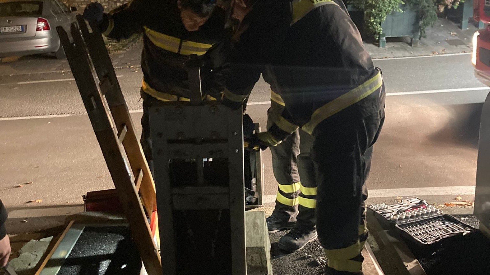 Gattino incastrato nel cassonetto a Bobbio. I vigili del fuoco lo salvano