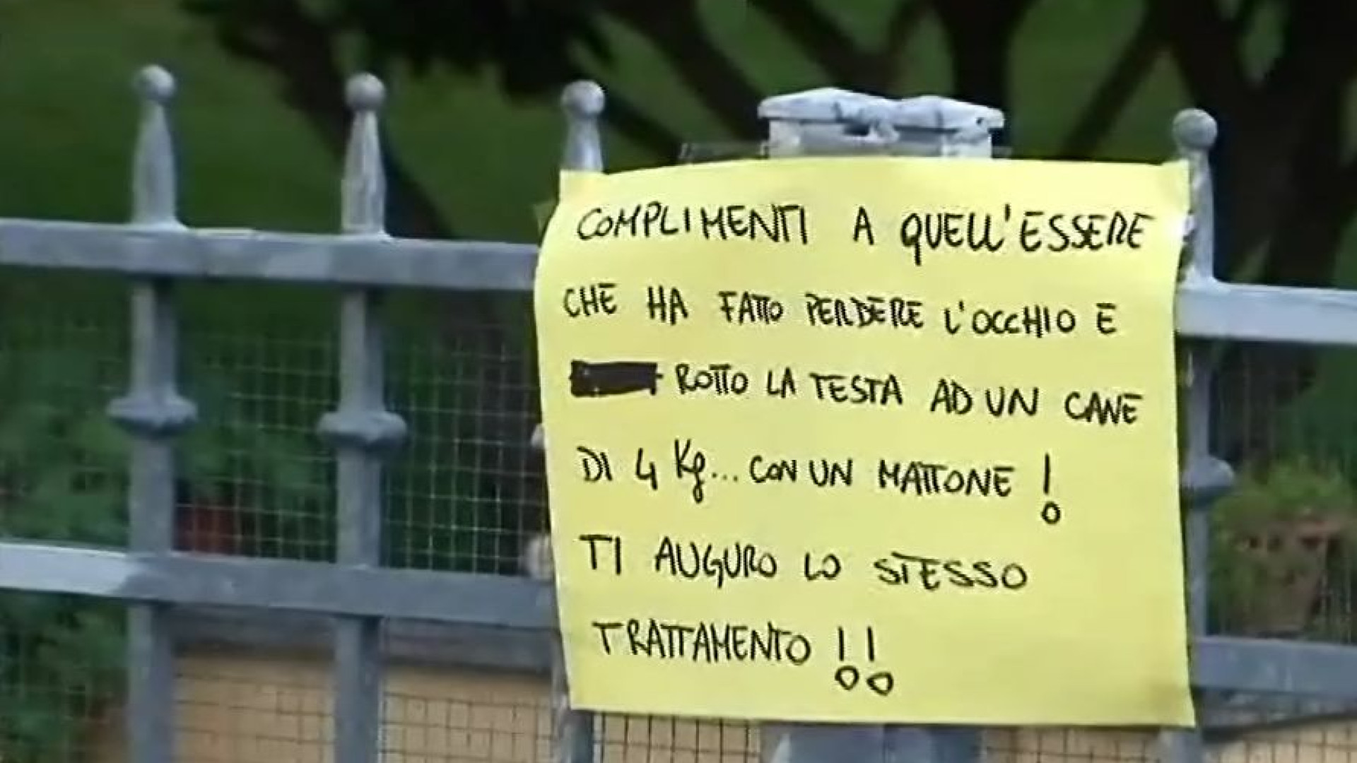 Fontana Fredda, cagnolina colpita con un mattone nel cortile