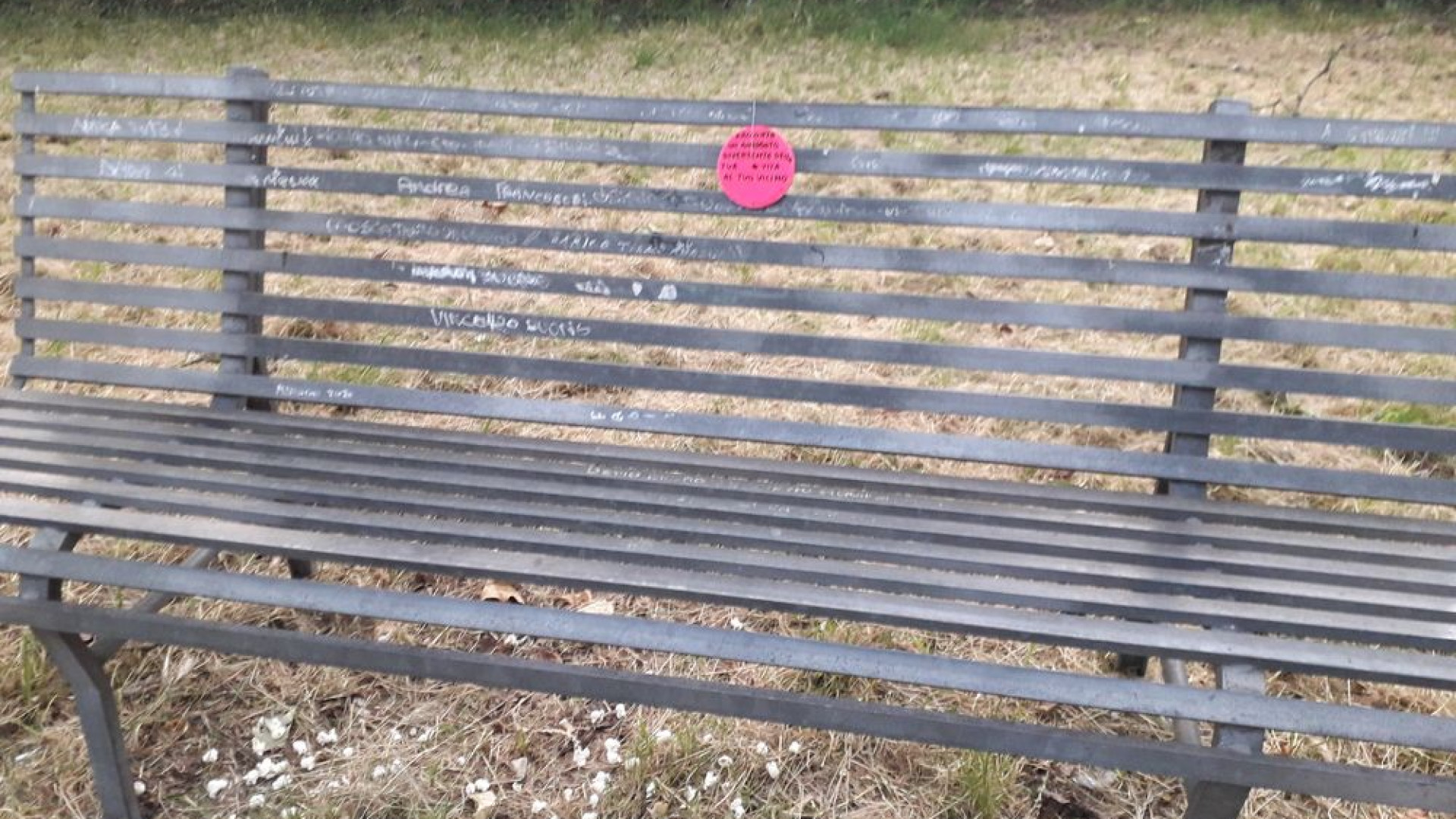 "Racconta un aneddoto al tuo vicino": misteriosi messaggi nel viale