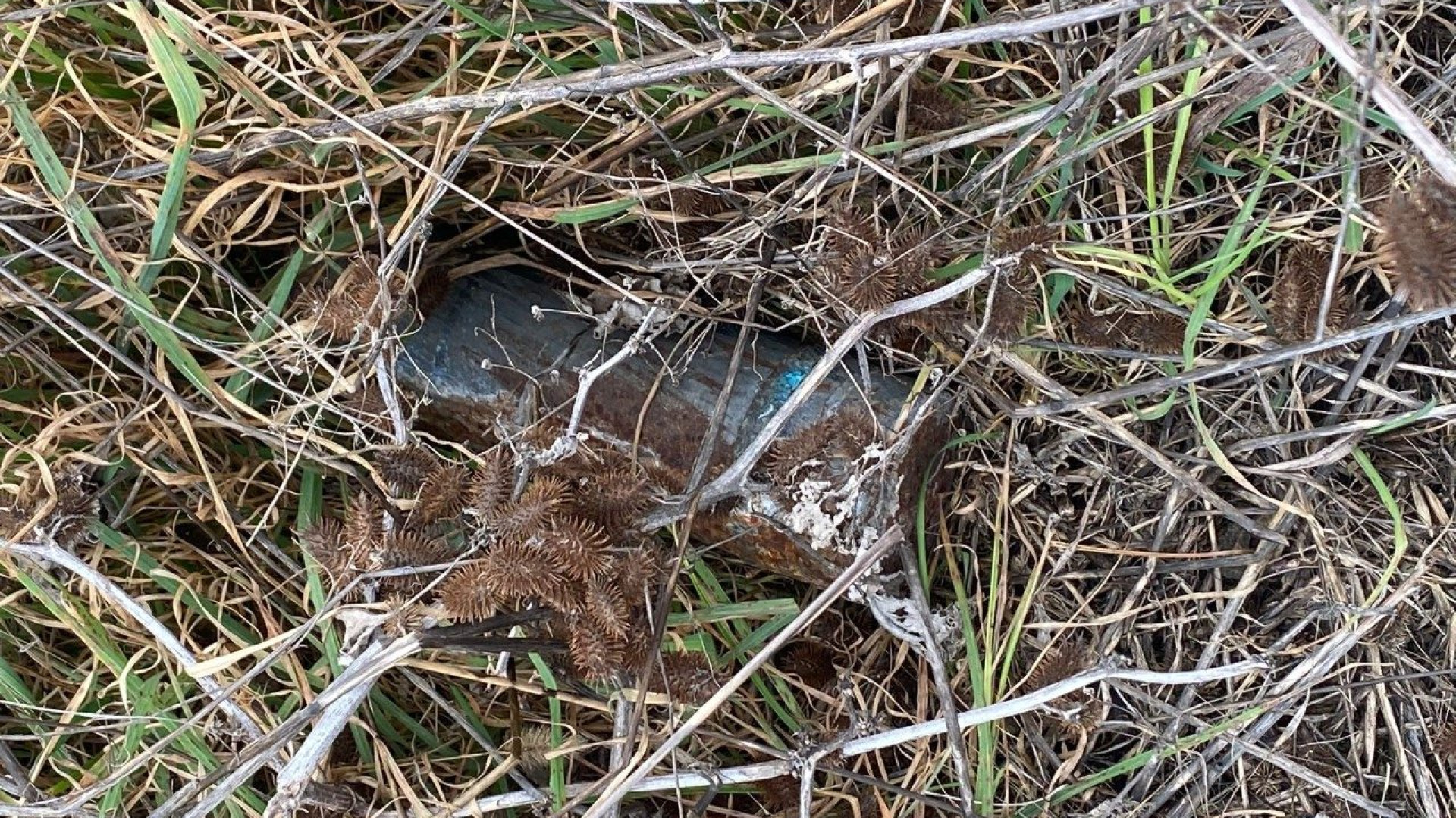 Disinnescata la granata trovata stamattina in un campo vicino a via Martelli