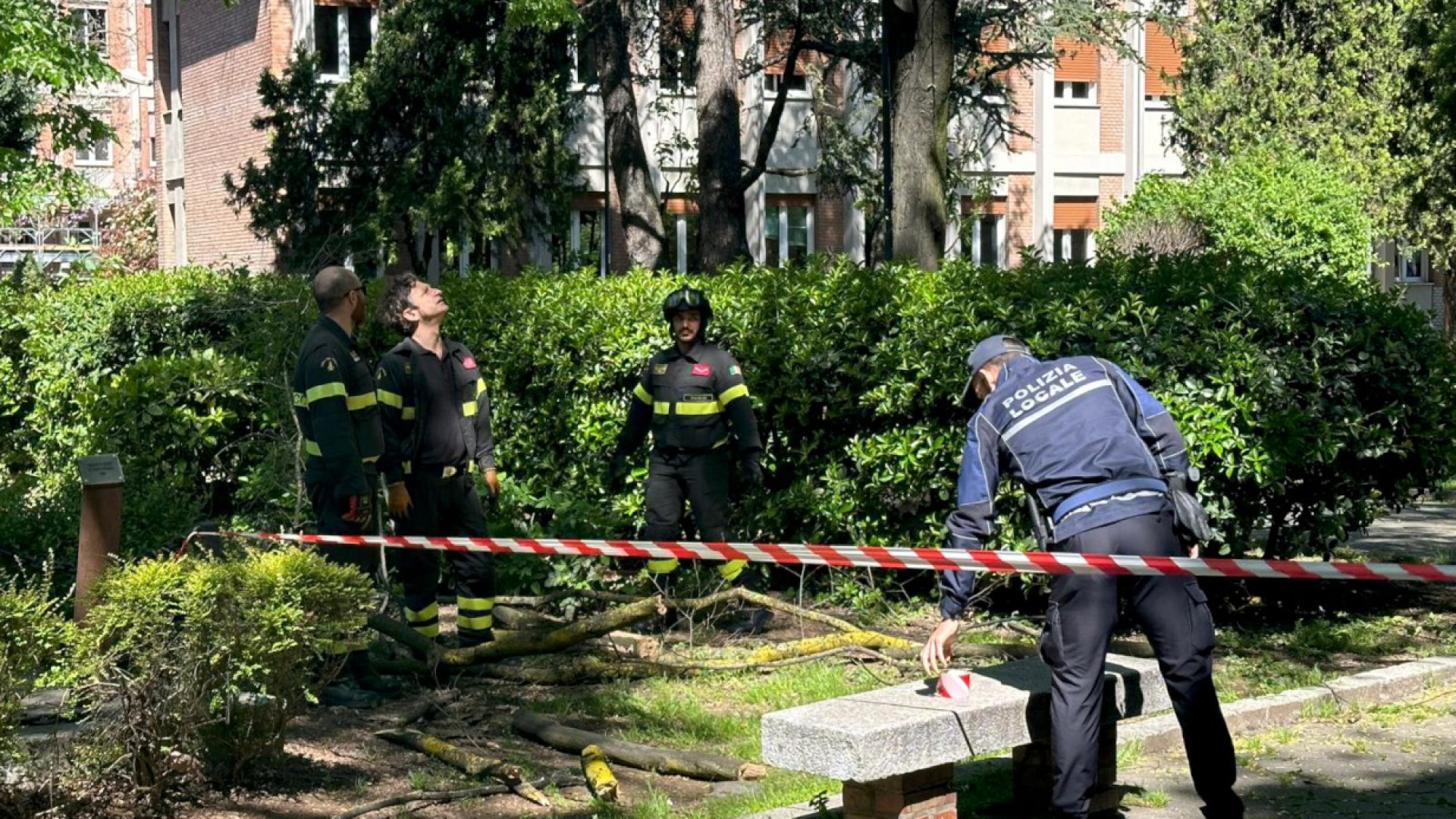 Rami cadono in via Beverora vicino al Colombini: intervengono i vigili del fuoco