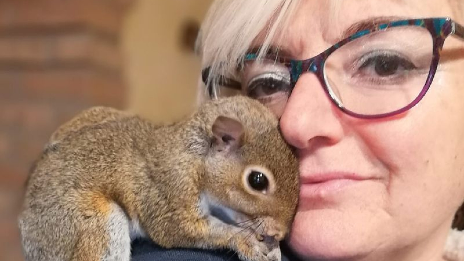 Si prende cura degli animali disabili che nessuno vuole. "Hanno diritto alla dignità"