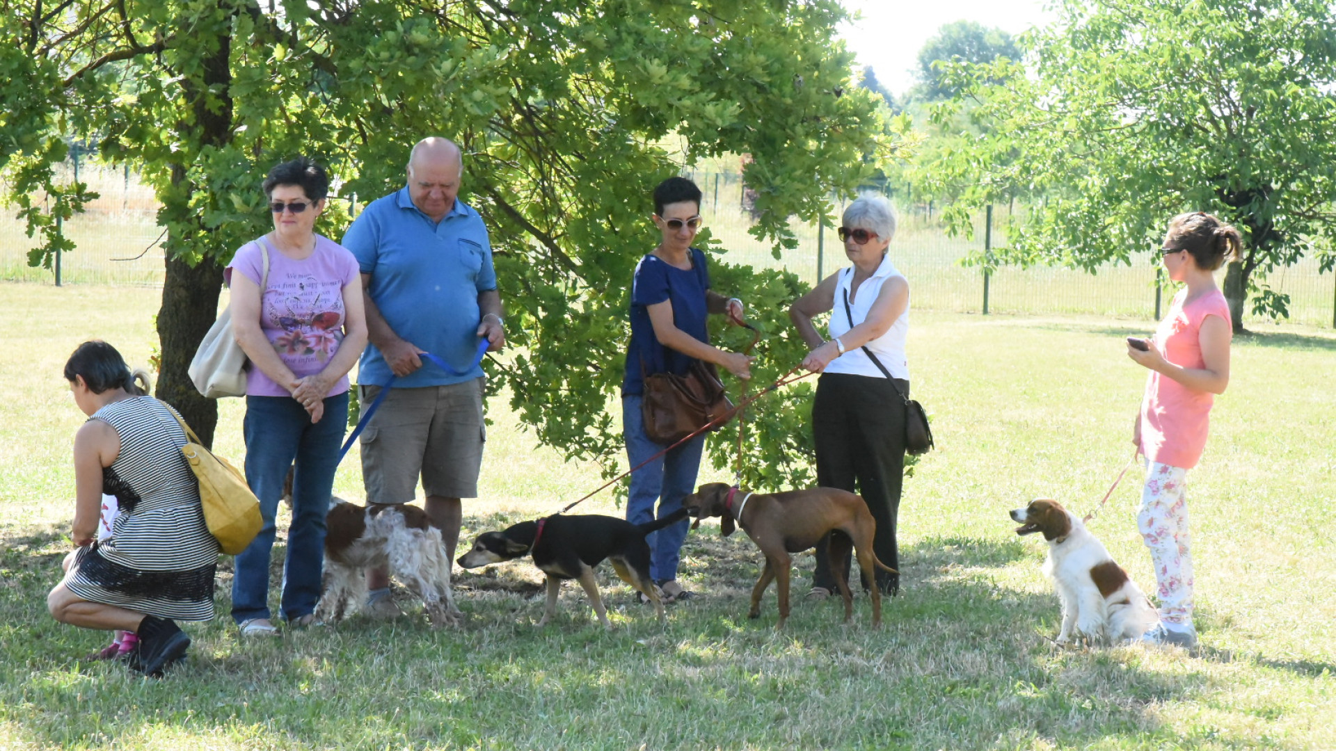 Inaugurata la nuova area di sgambamento cani al Parco di Montecucco