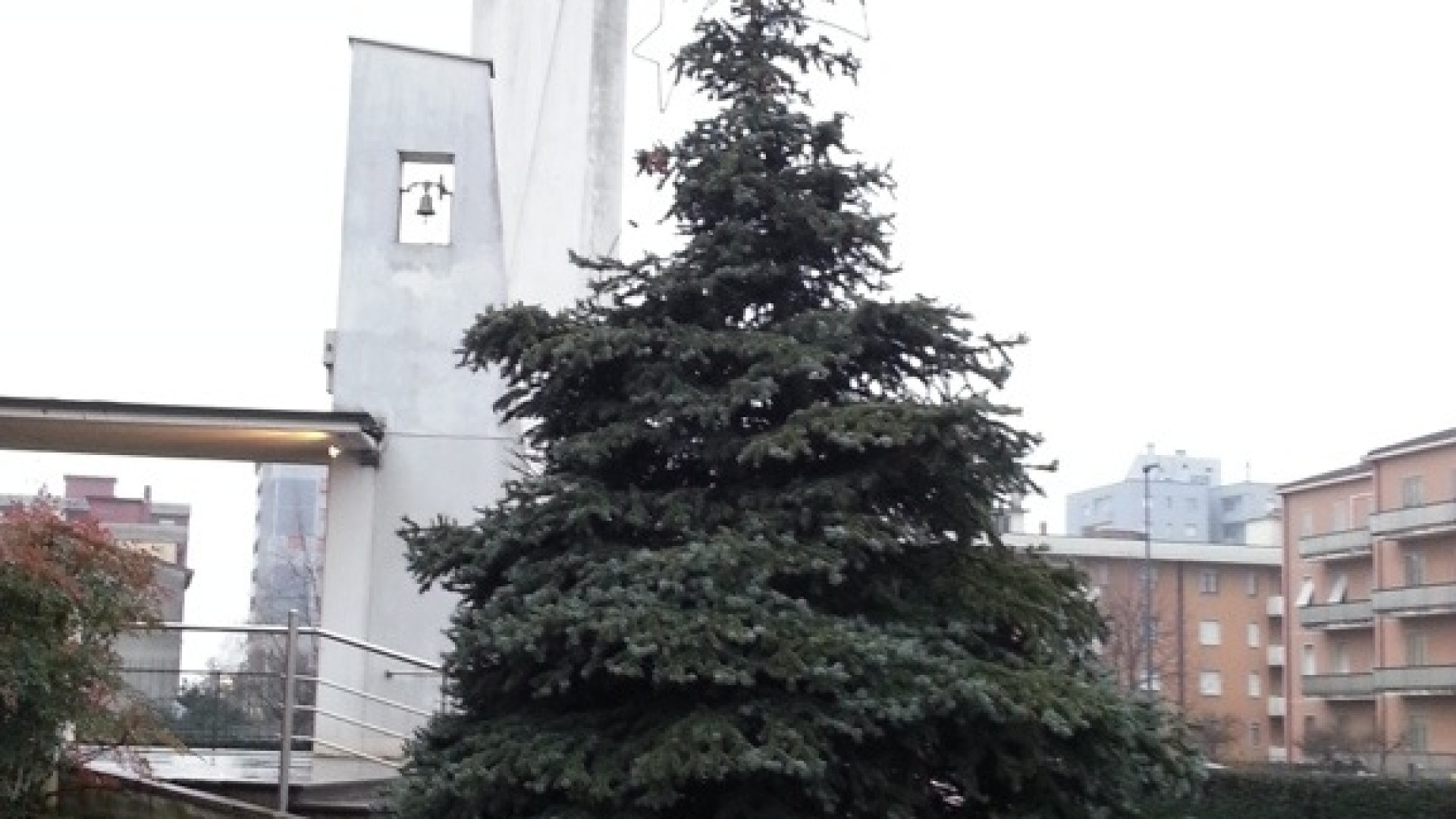 Farnesiana: i vandali distruggono l'albero di Natale della parrocchia