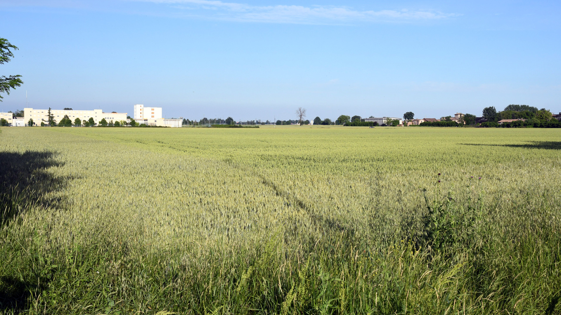 Nuovo ospedale, Colla in commissione: "Podere Cascine l'area più indicata"