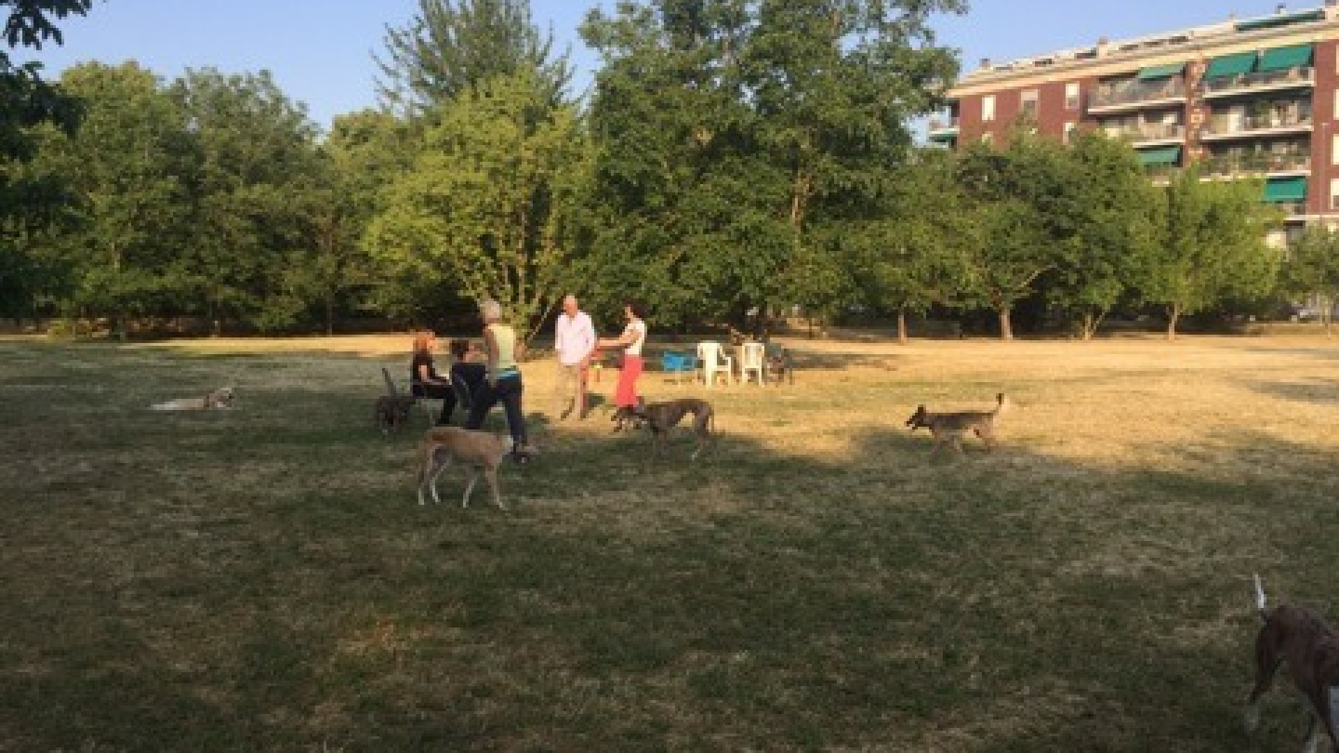 Sfalcio dell'erba: l'area di sgambamento cani non è più una "giungla"