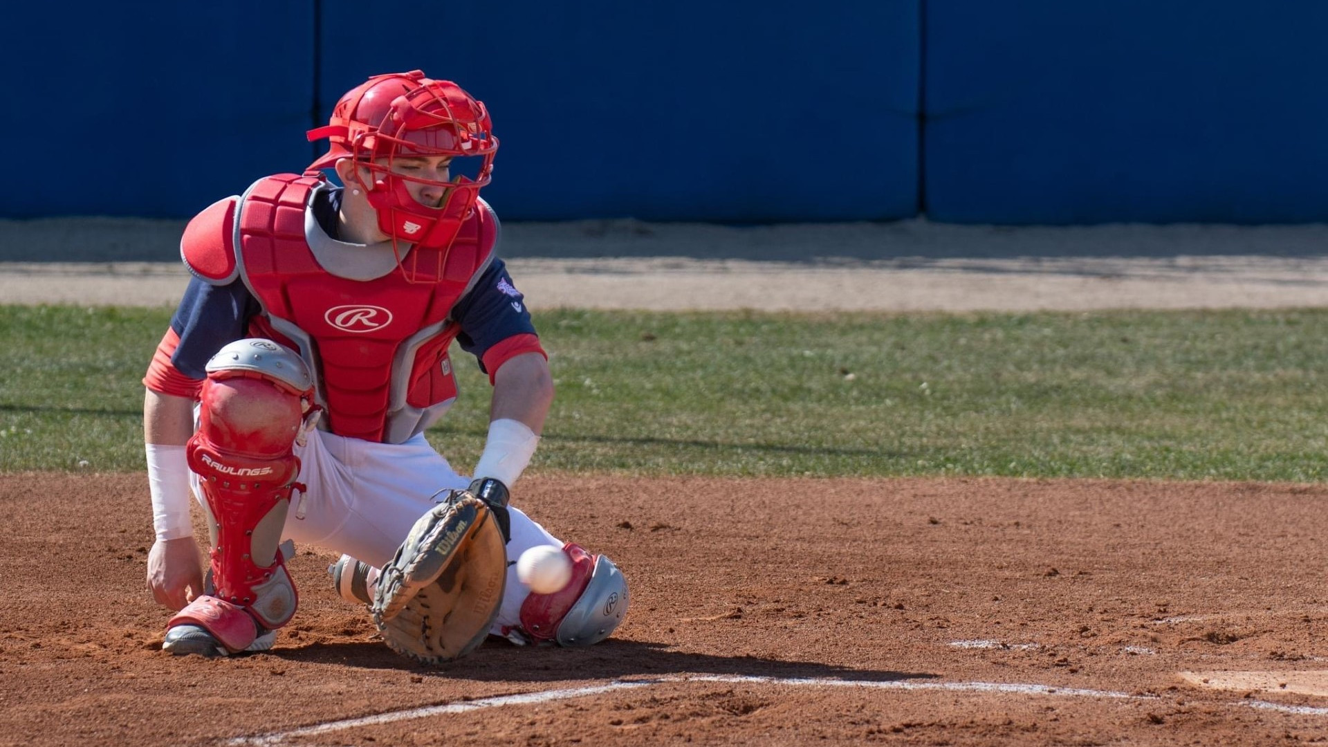 Baseball serie B, ultima di andata: il Piacenza ospita la capolista Milano