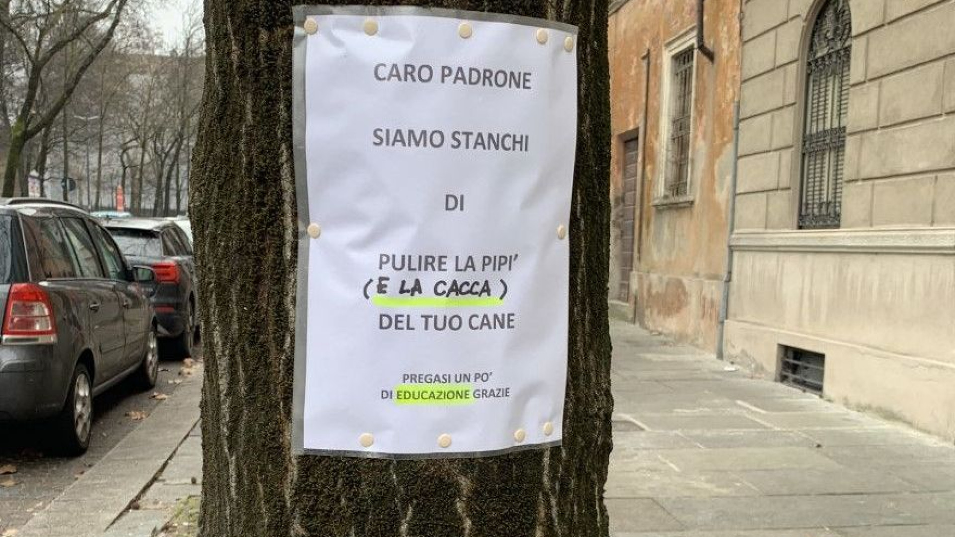 "Caro padrone...": il messaggio dei cittadini esasperati dall'inciviltà