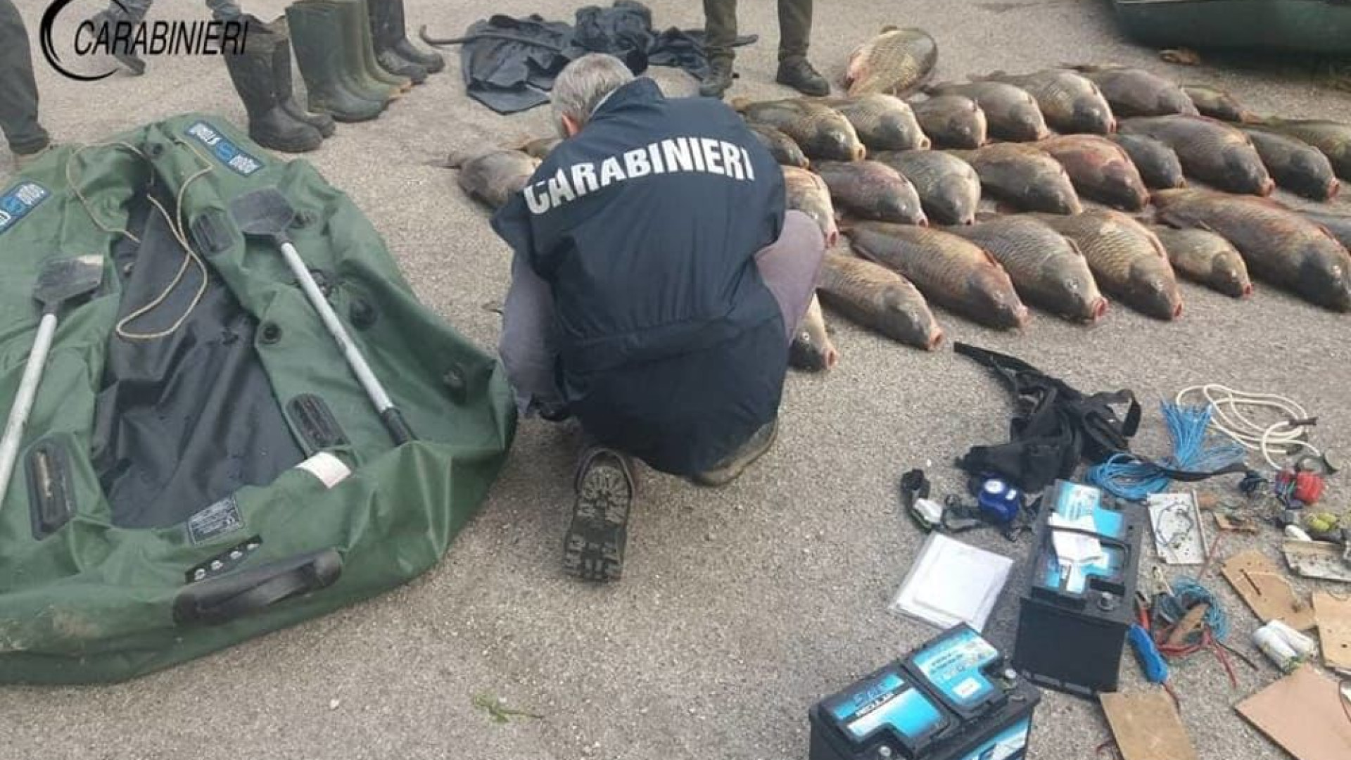 Fiume Po, carabinieri e Autorità di Bacino in campo contro il bracconaggio ittico
