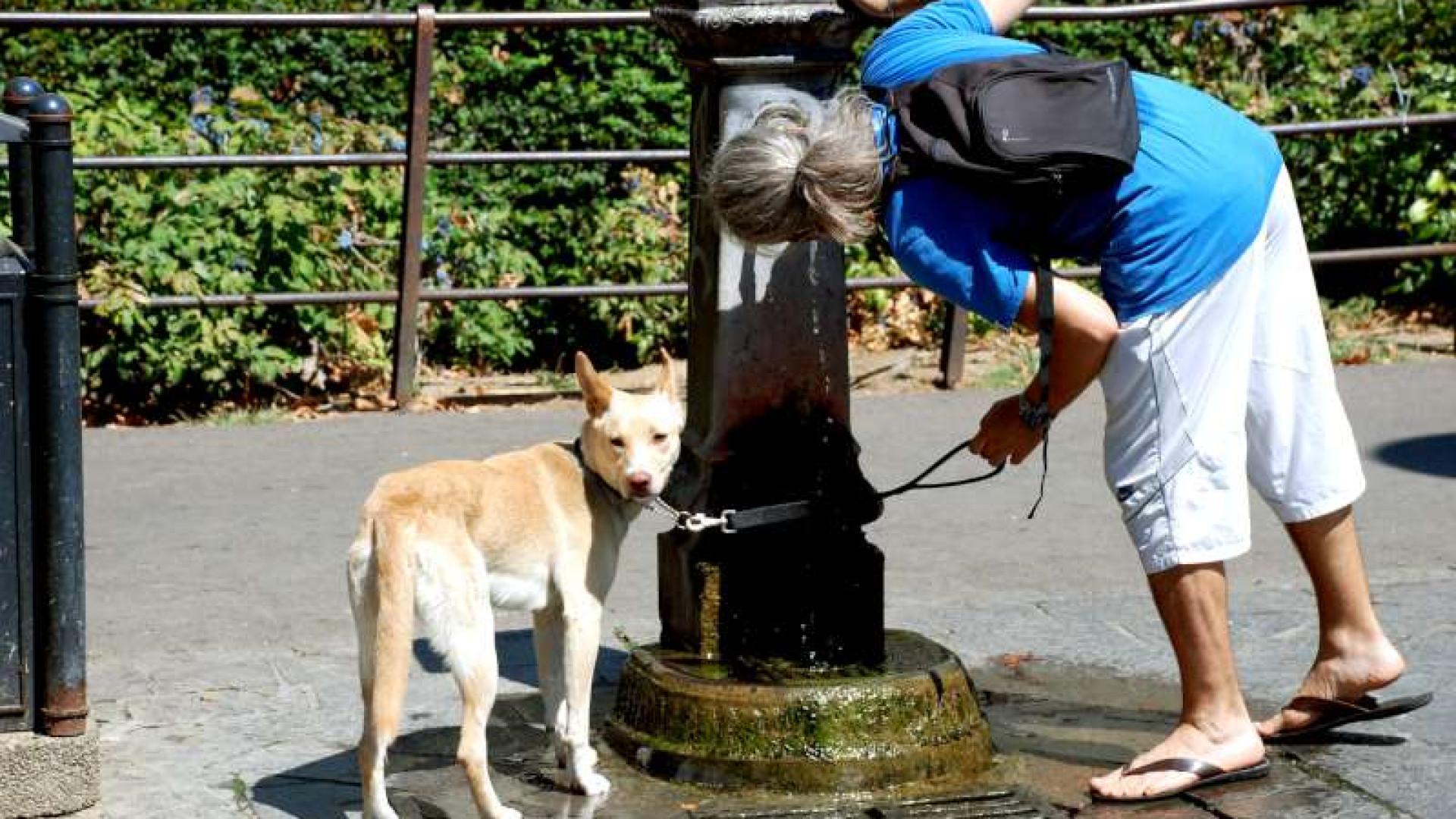 Allerta meteo per l'aumento delle temperature. Domani in provincia punte di 38 gradi