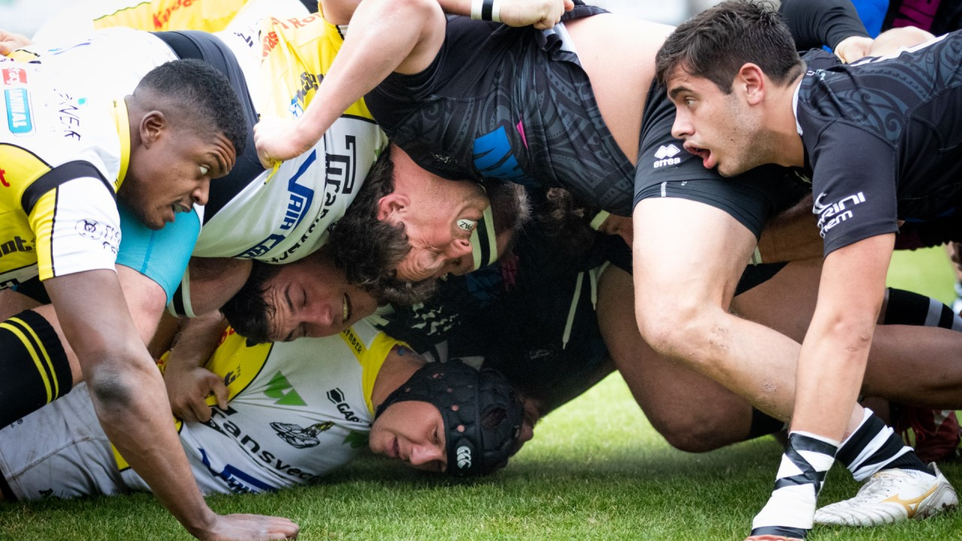 Falcidiati dal Covid, i Lyons tornano in campo stasera contro Valorugby Emilia