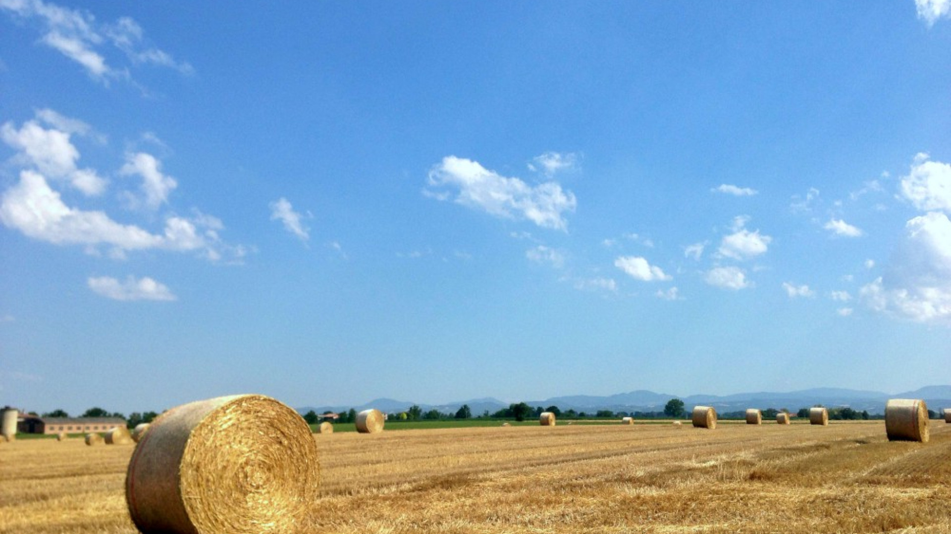 E' tornato il bel tempo, fine settimana di sole e caldo. Previsti 30 gradi in pianura
