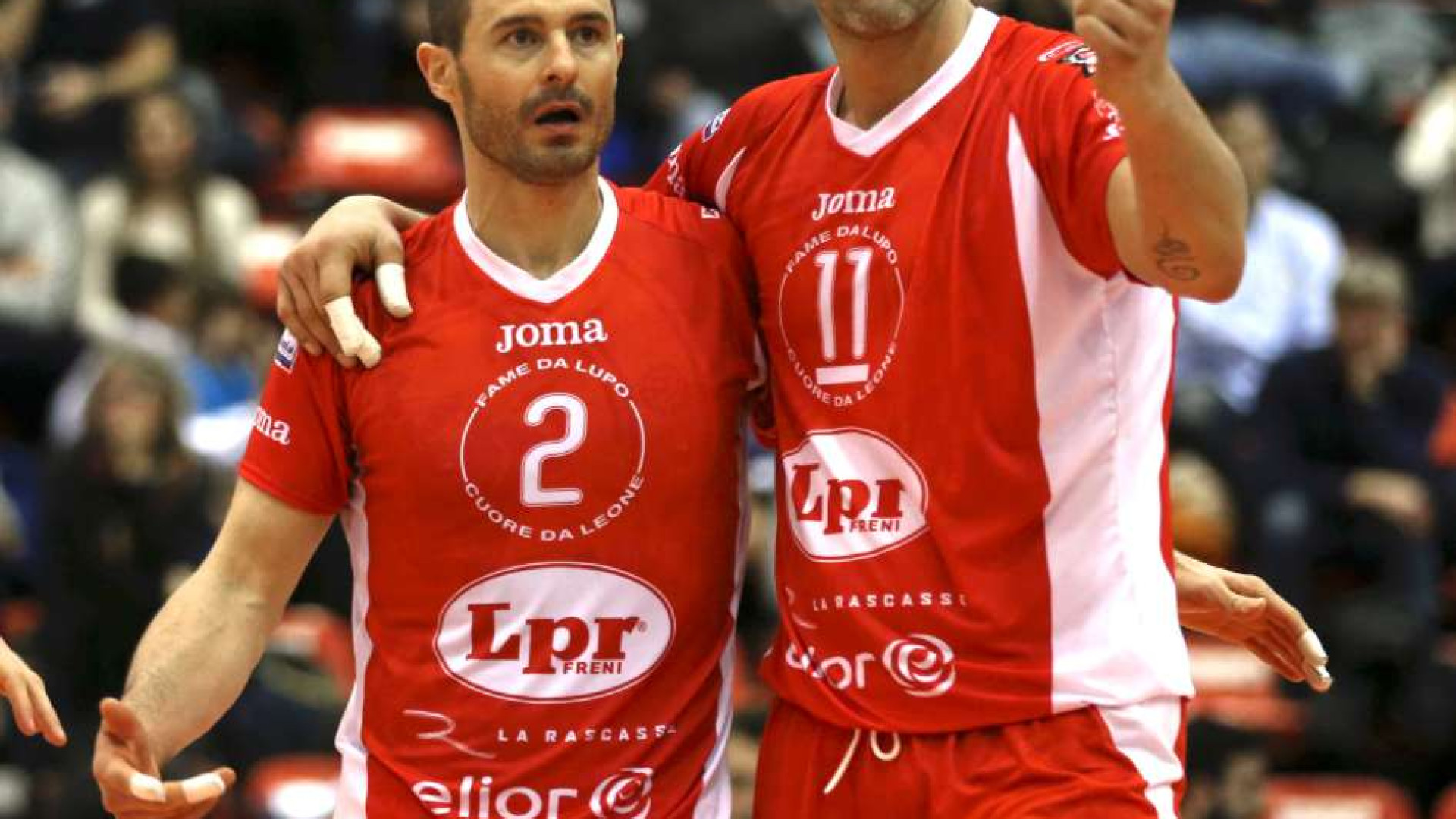 Lpr volley, si riparte: domenica c'è la seconda della classe Civitanova