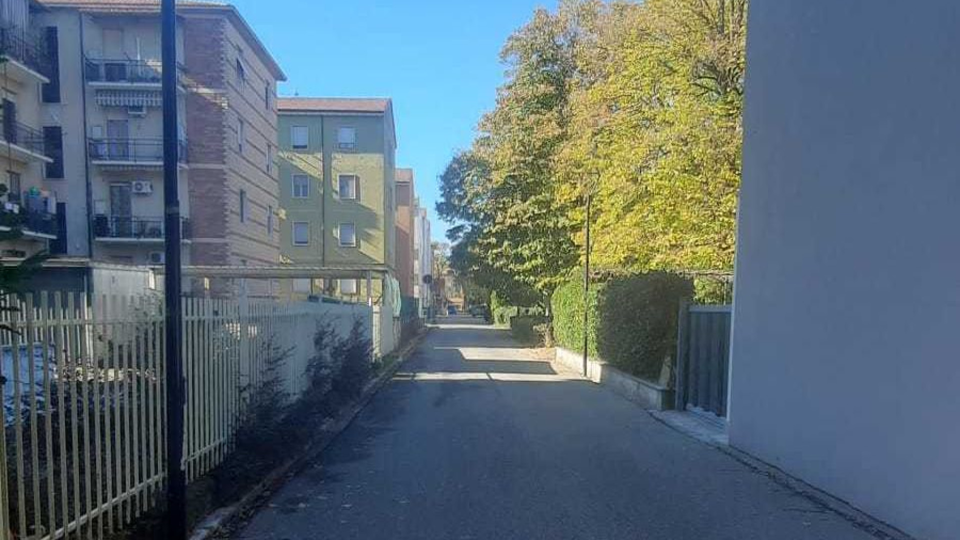 Bocconi sospetti in via Zago. "Nelle aree verdi tensioni con i proprietari di cani"