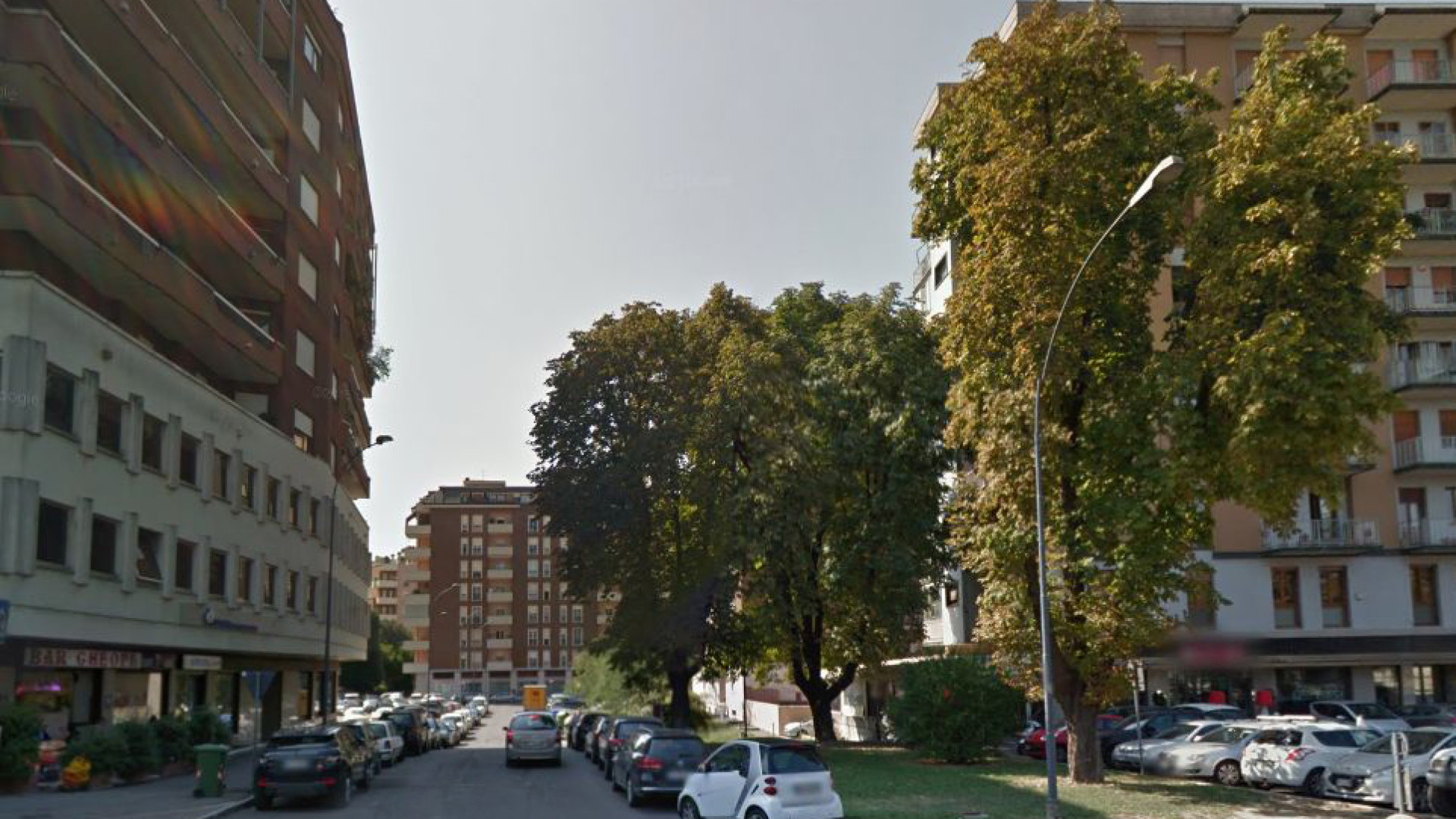 Alberi pericolosi, tre ippocastani verranno abbattuti in via IV Novembre