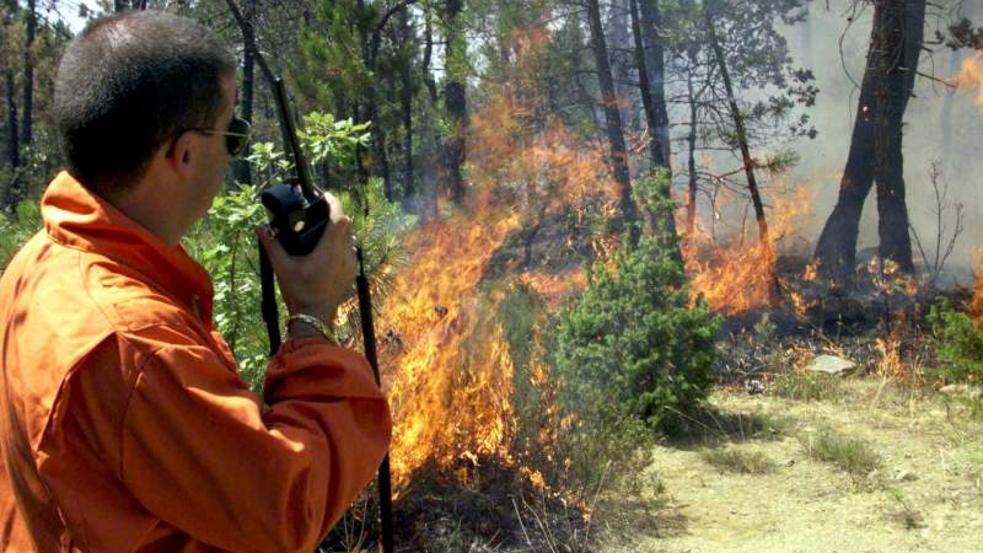 Alto rischio di incendi boschivi, da lunedì scattano i divieti di fuochi e barbecue