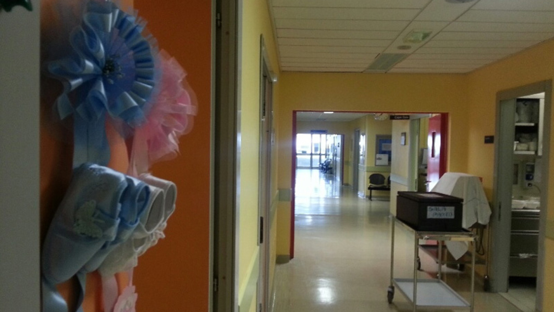 Cromoterapia e letto a margherita: visita on line alla sala parto