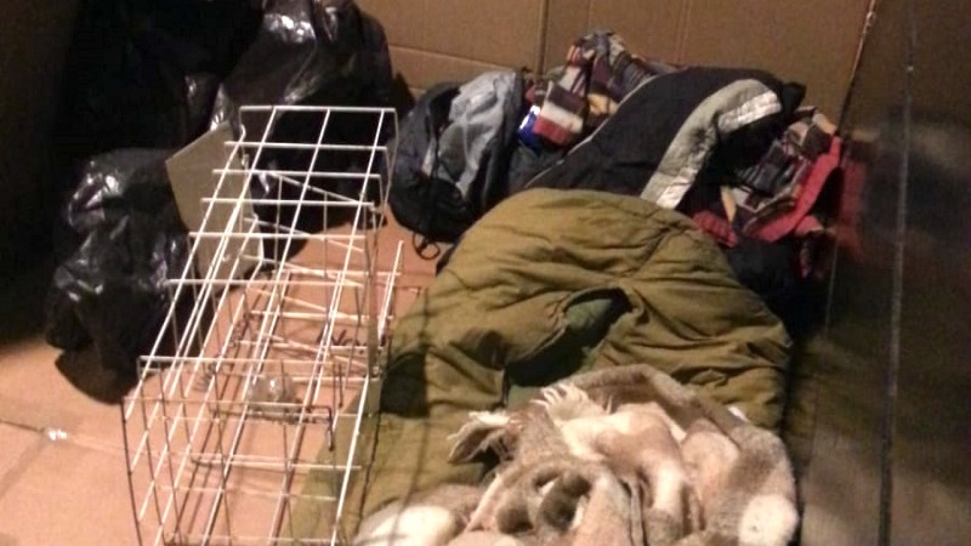 Medico di base ai senzatetto, iter avviato anche a Piacenza: | per ora due richieste