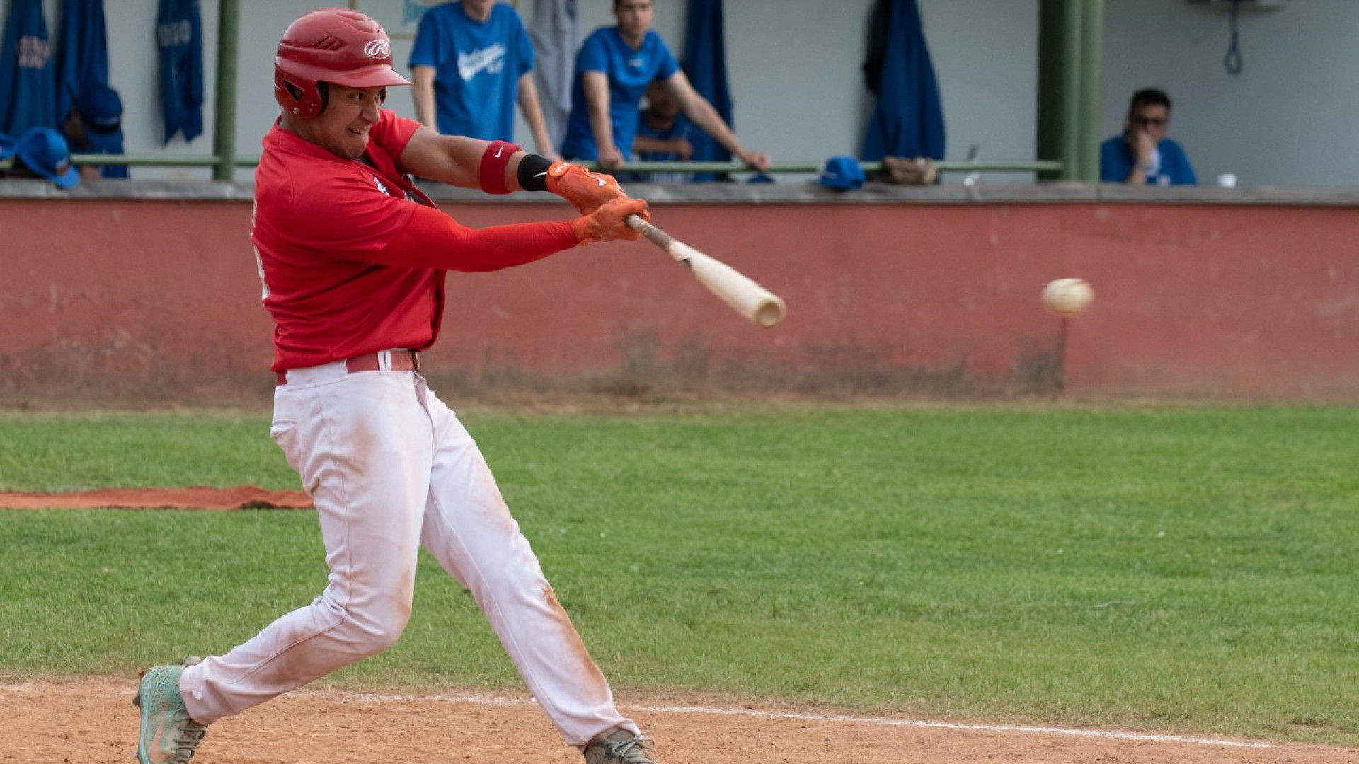 Baseball, continua il periodo d'oro del Piacenza. Successo sull'Avigliana