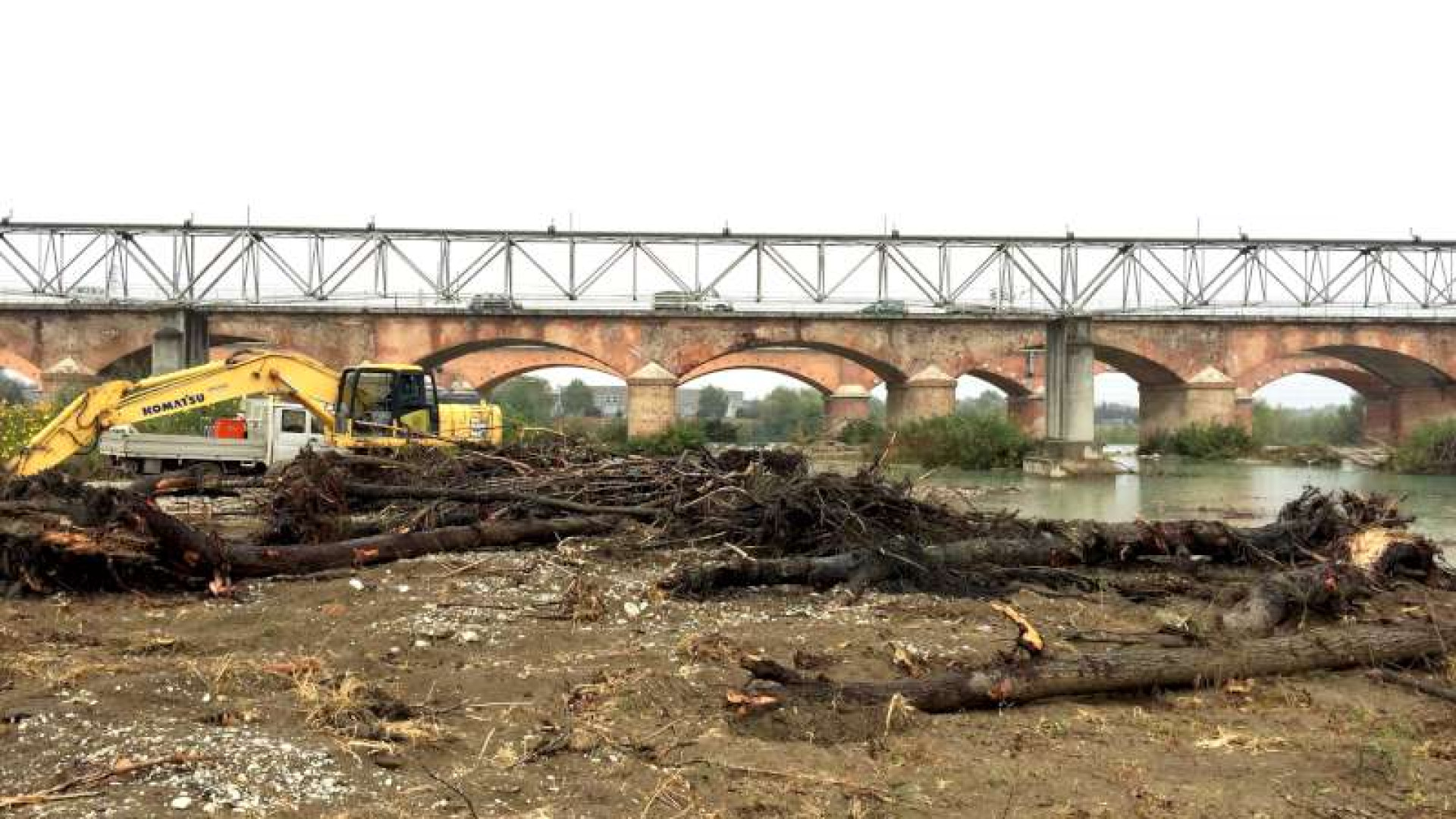 Legname sotto il ponte di Trebbia, dietrofront: tutti i tronchi saranno tolti