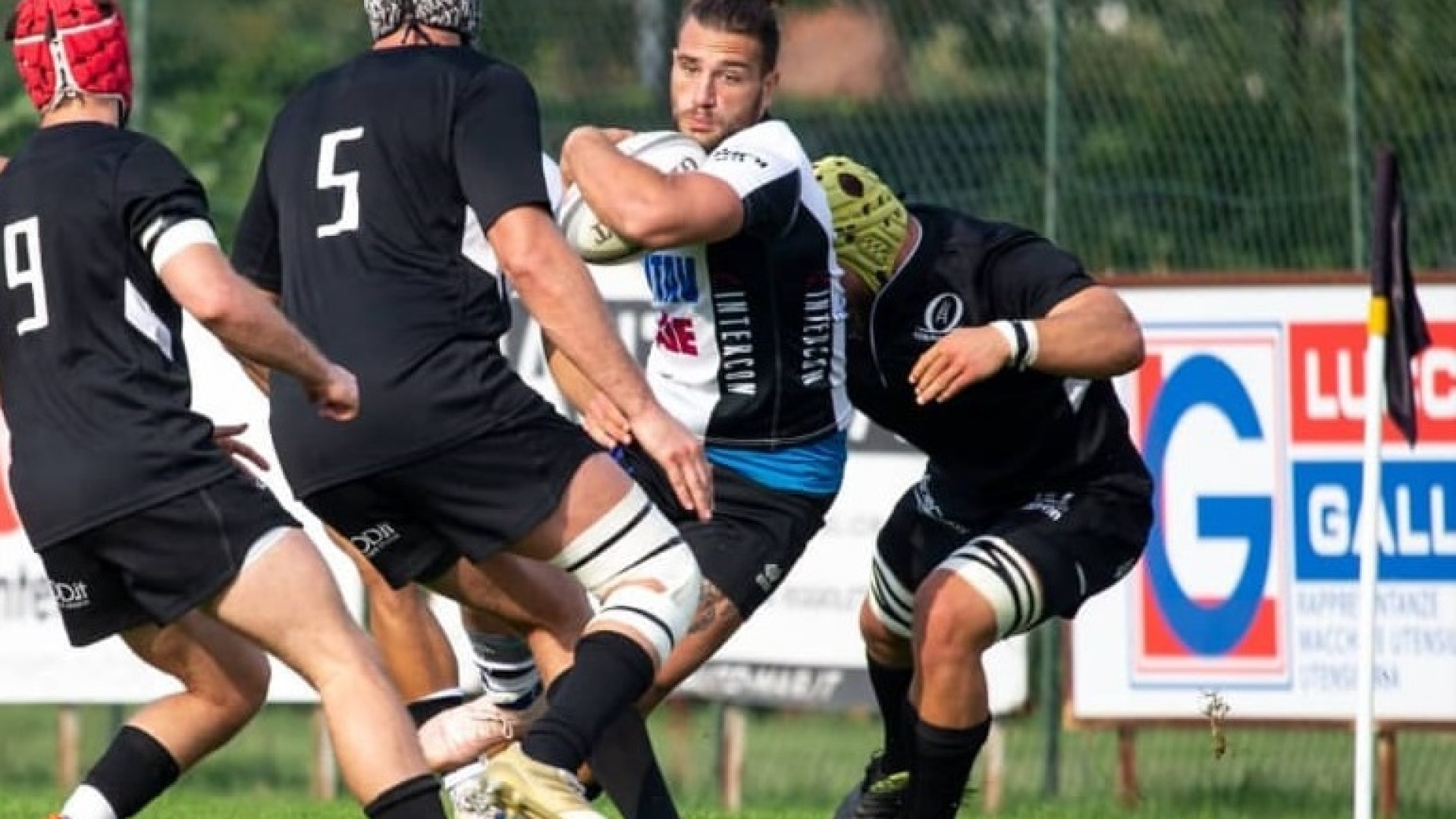 Alla Sitav Lyons serve un'impresa: oggi nella tana della capolista Petrarca