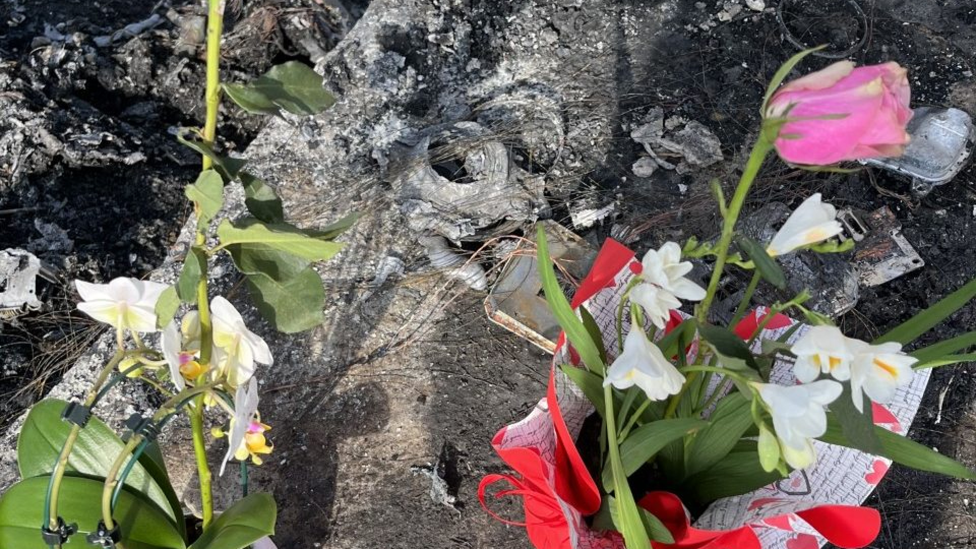 I fiori della mamma di Sara Tu sull'argine della tragedia. "Era meravigliosa e unica"