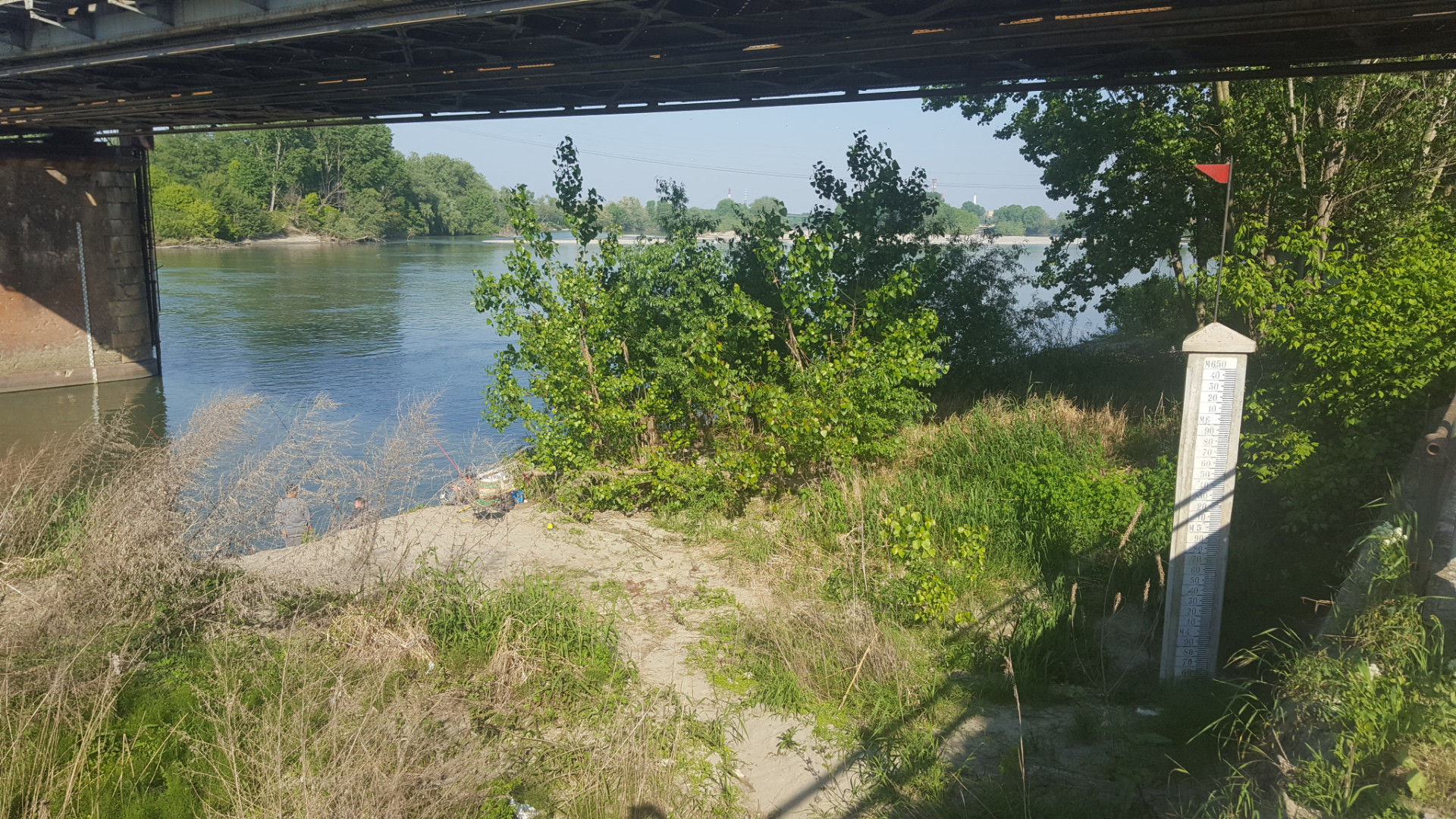 Po in magra come in estate, allarme siccità. Coldiretti: "E' un problema di tutti"