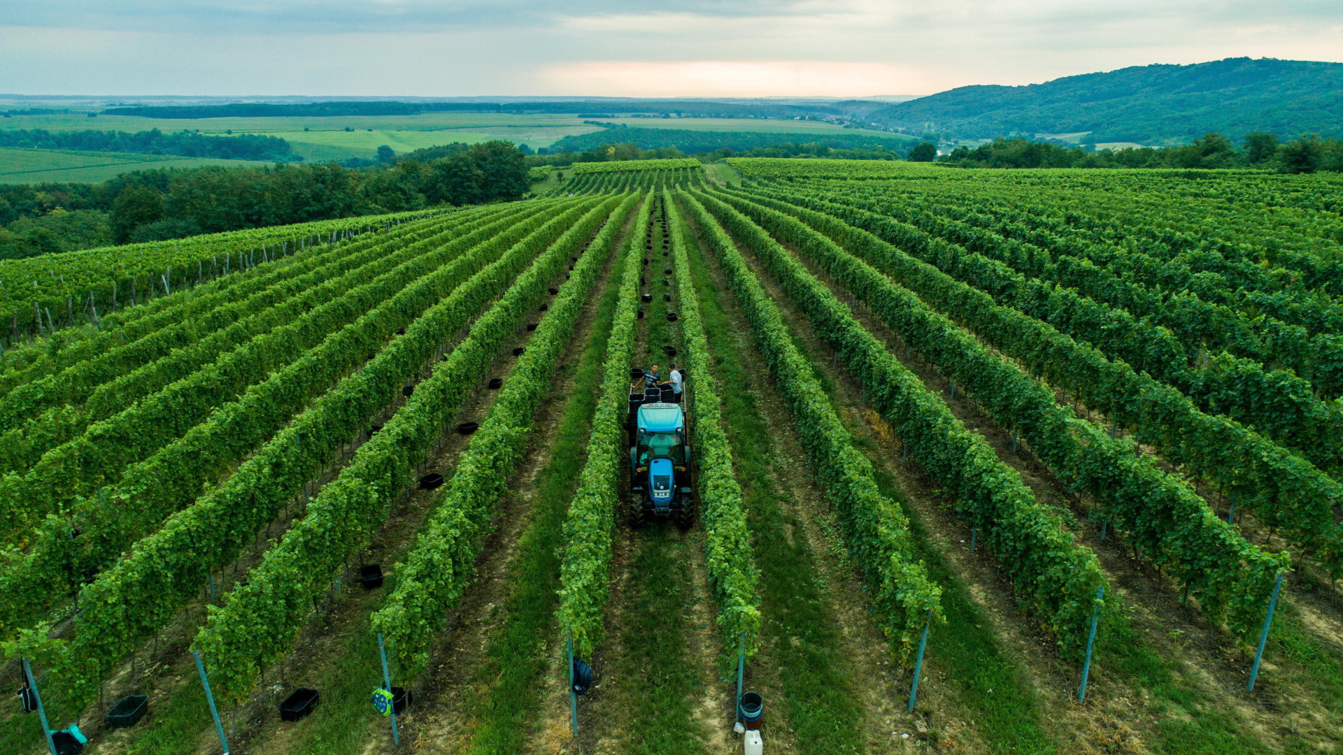 Decreto sostegni, contributi a fondo perduto estesi anche alle aziende agricole
