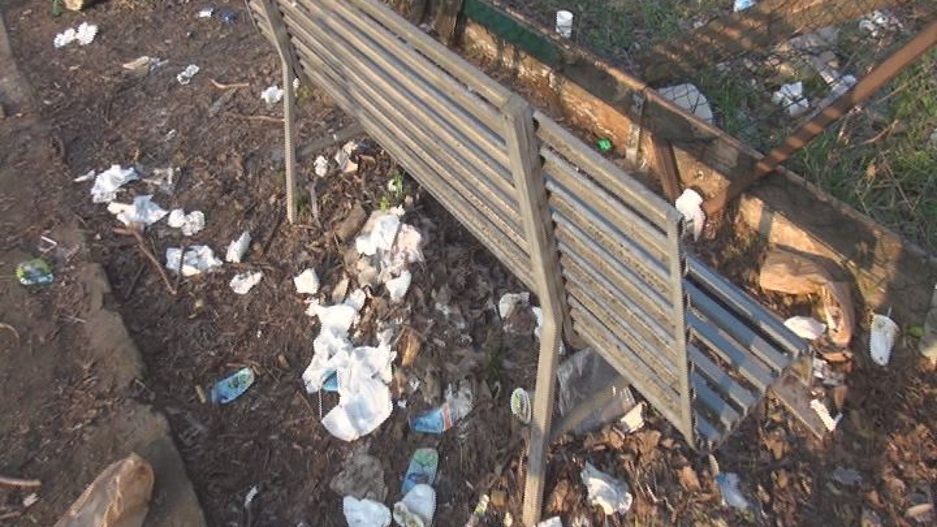 "Discarica, degrado e spaccio". I giardini di via Rapaccioli "sono terra di nessuno"