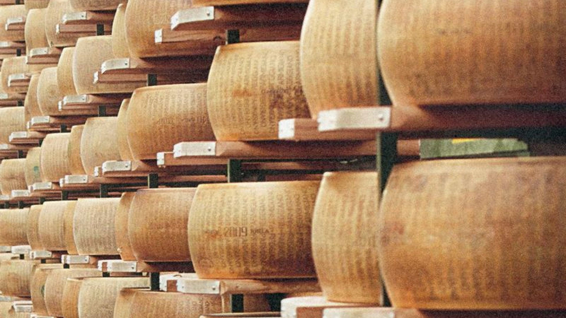 San Giuliano di Castelvetro, fallisce il colpo di Grana Padano. Già caricate 200 forme